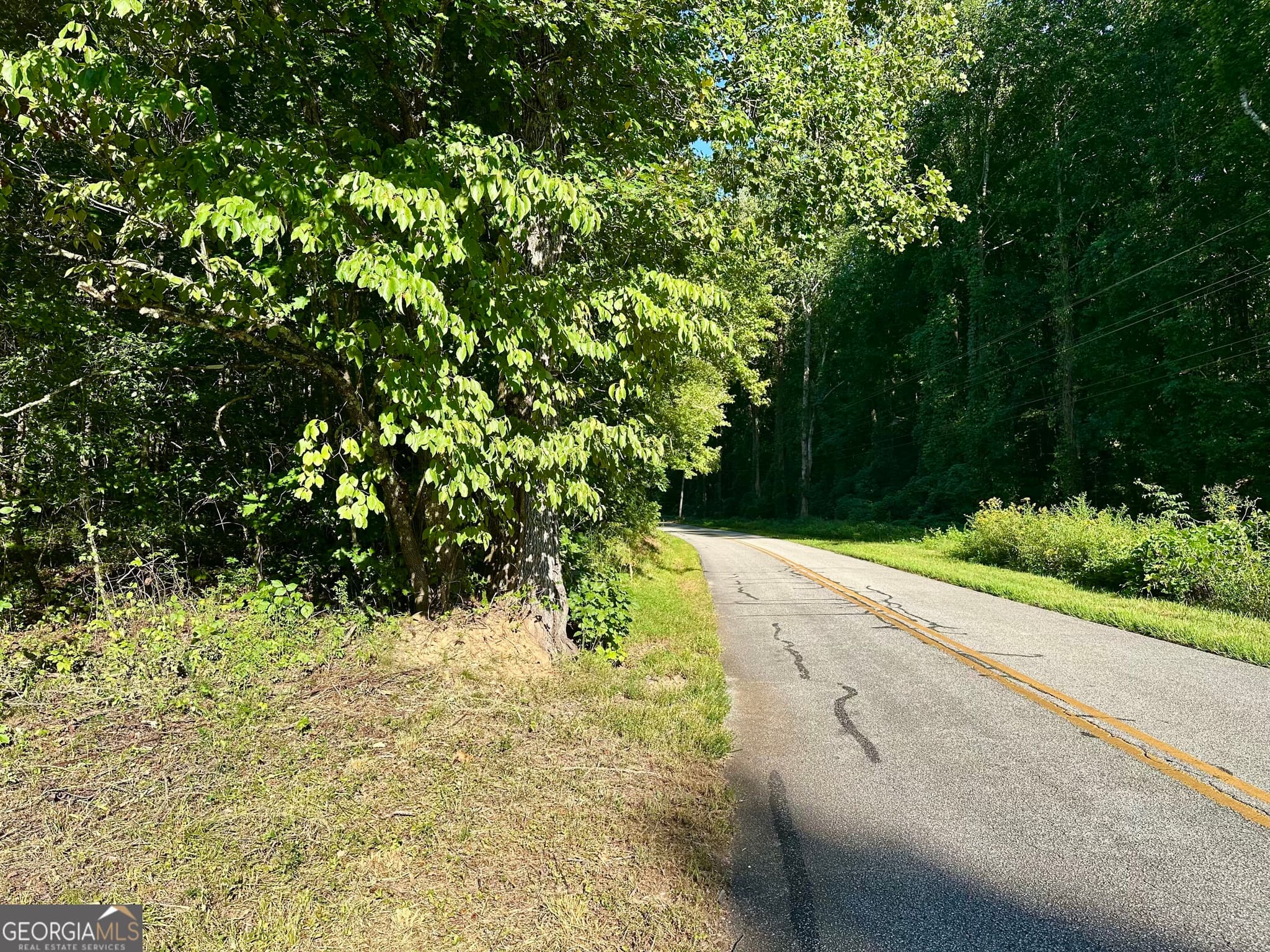 unimproved land for sale at 0 Piedmont Mountain Road, Clarkesville, GA 30523 — photo 9