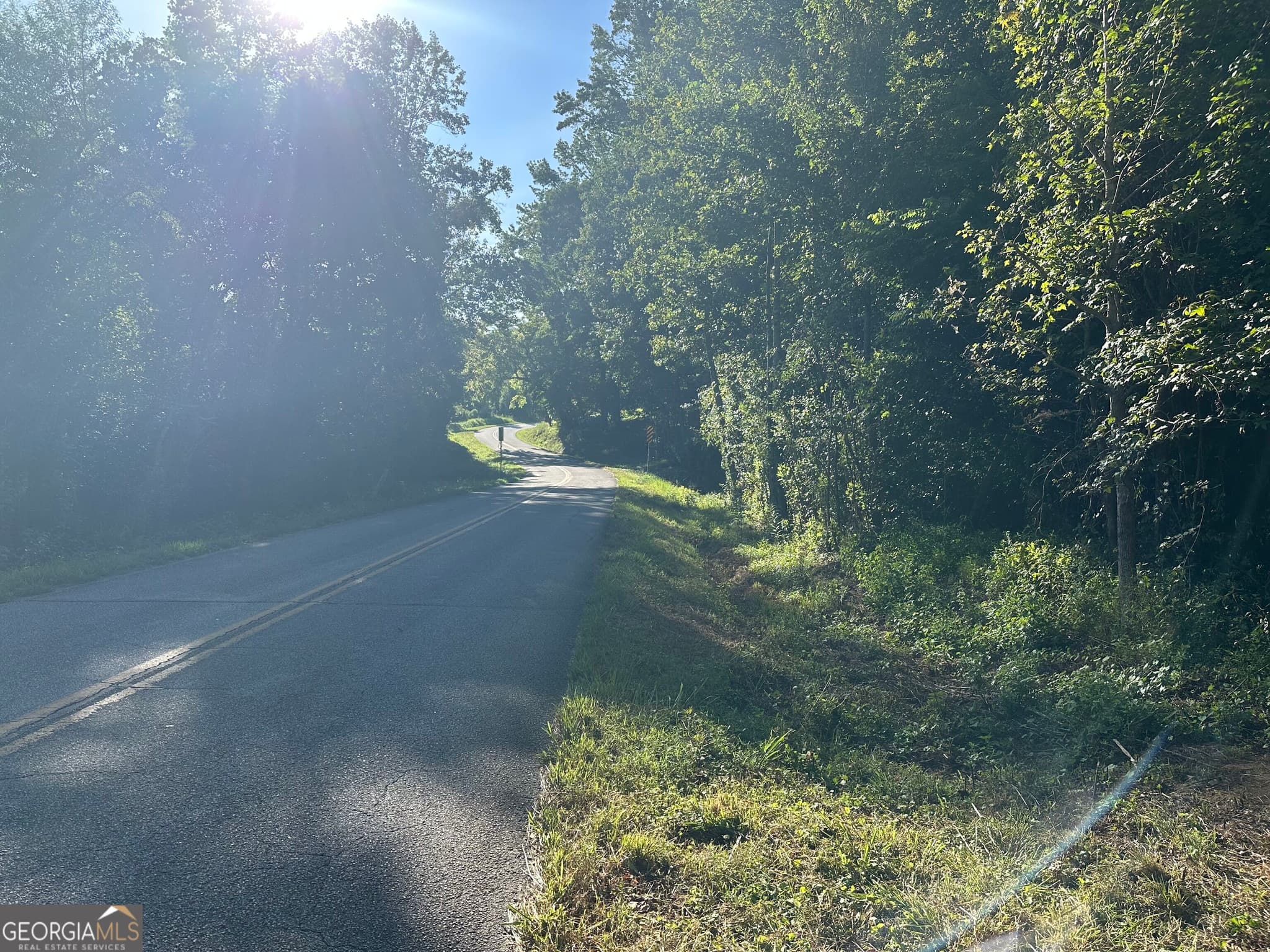unimproved land for sale at 0 Piedmont Mountain Road, Clarkesville, GA 30523 — photo 10