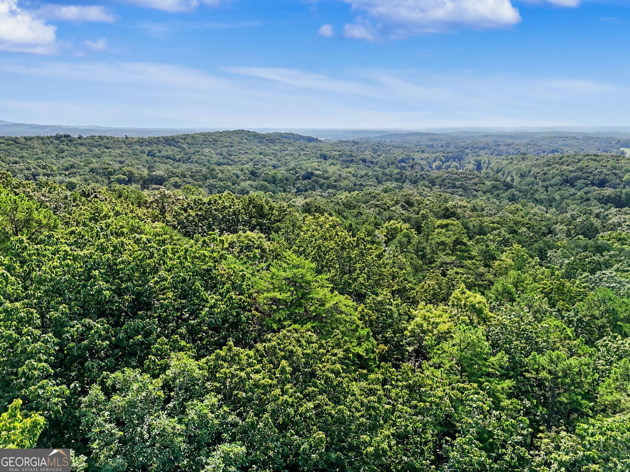unimproved land for sale at 0 Piedmont Mountain Road, Clarkesville, GA 30523 — photo 4