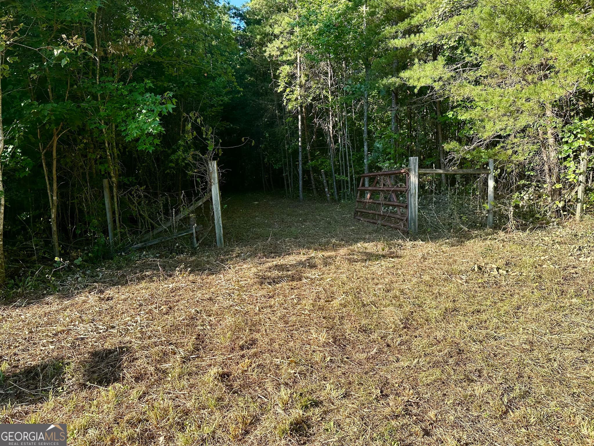 unimproved land for sale at 0 Piedmont Mountain Road, Clarkesville, GA 30523 — photo 8