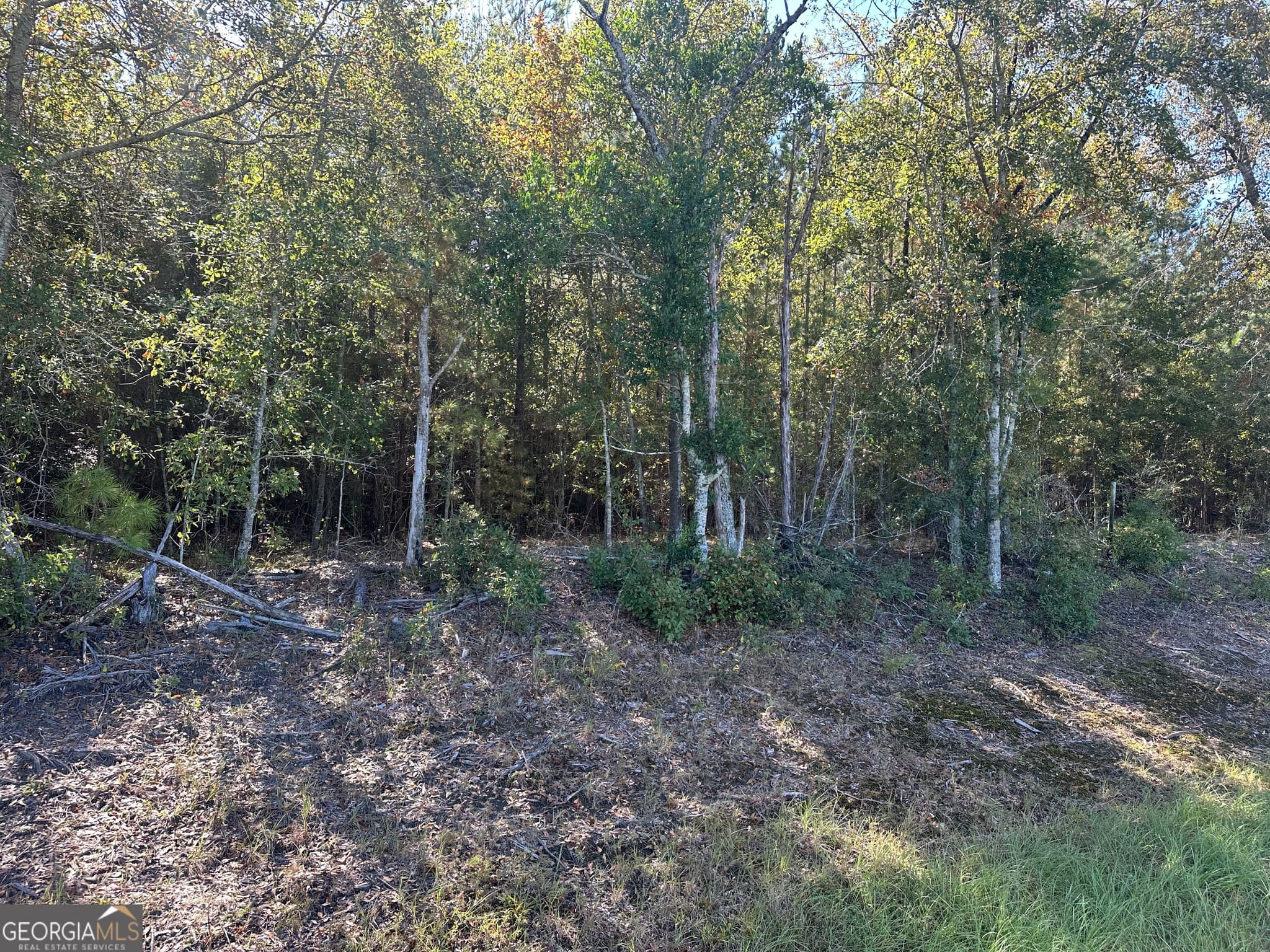 unimproved land for sale at 1001 Millen-Hiltonia Road, Sylvania, GA 30467 — photo 6