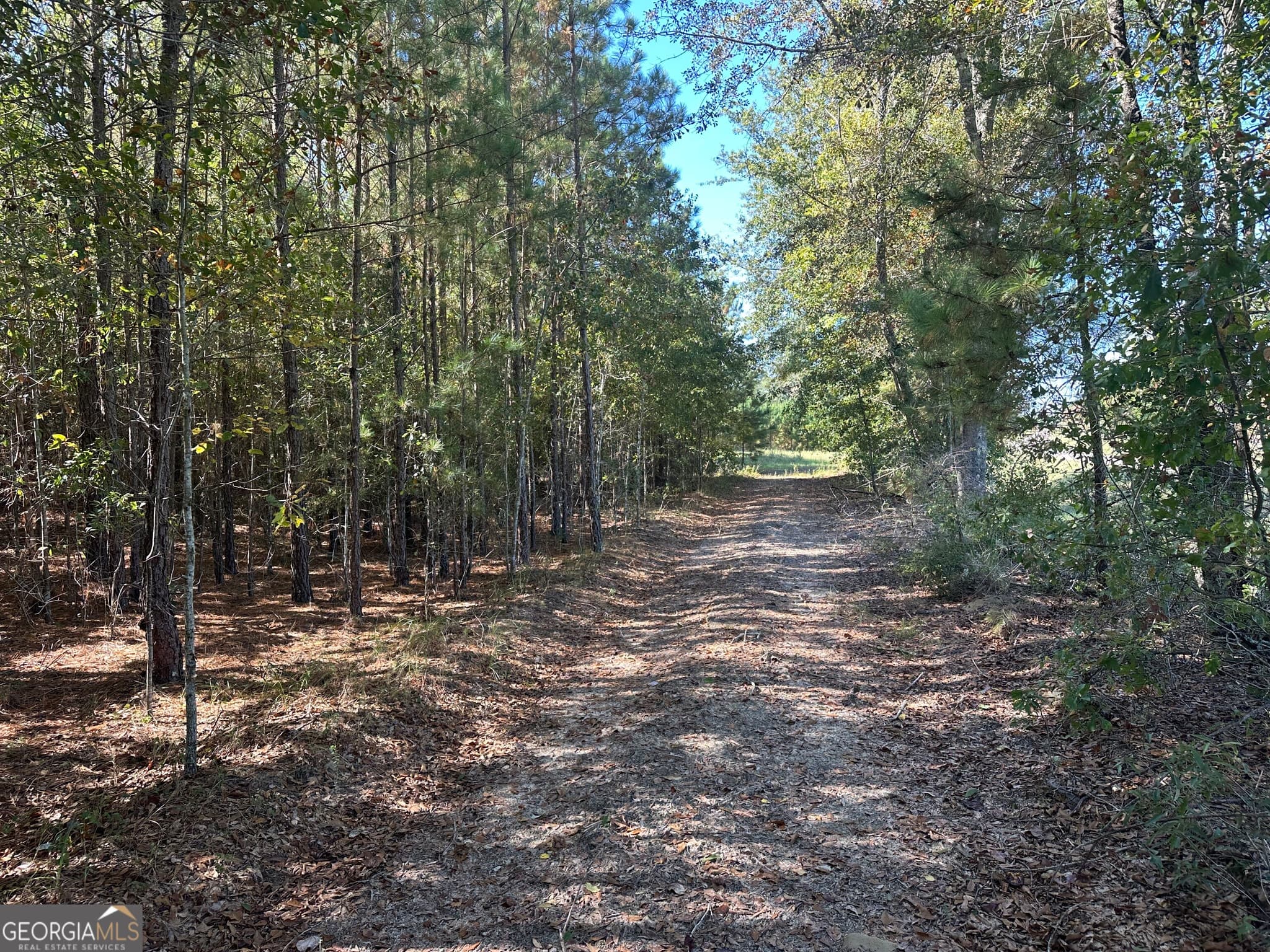 unimproved land for sale at 1001 Millen-Hiltonia Road, Sylvania, GA 30467 — photo 7