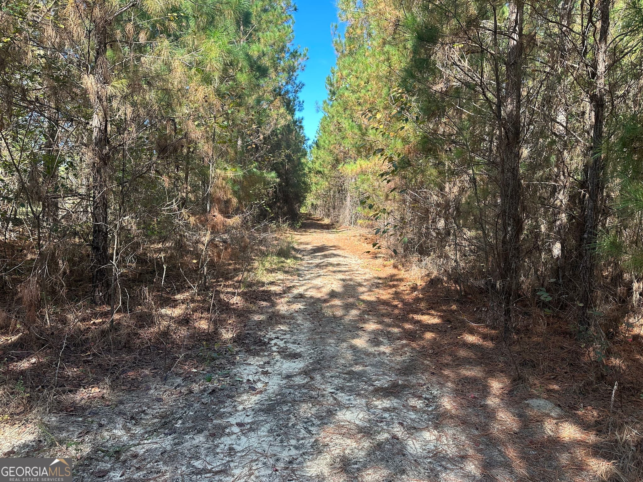 unimproved land for sale at 1001 Millen-Hiltonia Road, Sylvania, GA 30467