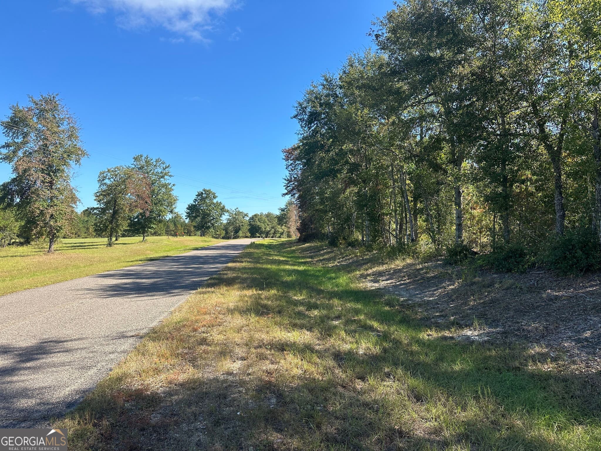 unimproved land for sale at 1001 Millen-Hiltonia Road, Sylvania, GA 30467 — photo 5