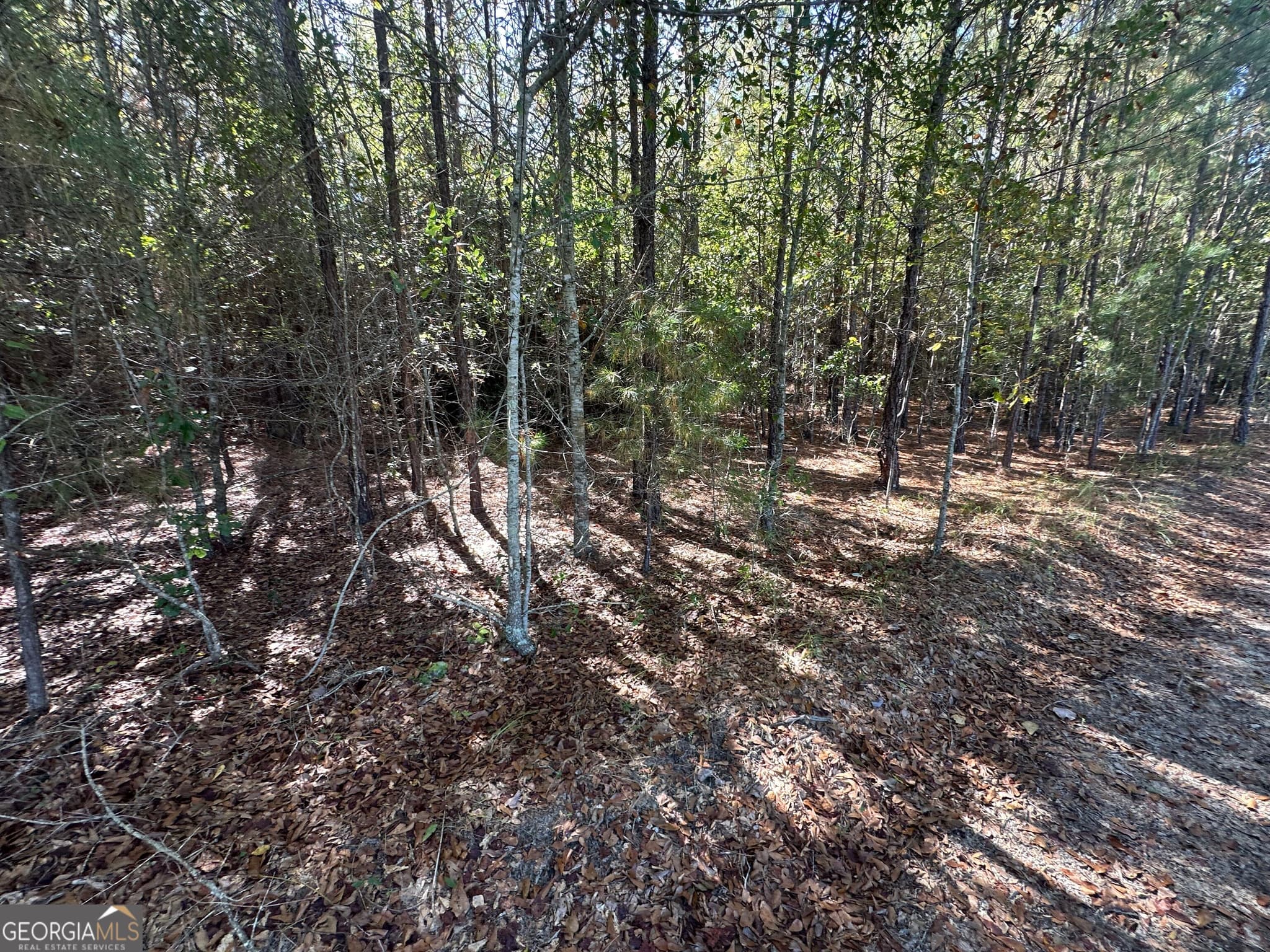 unimproved land for sale at 1001 Millen-Hiltonia Road, Sylvania, GA 30467 — photo 9