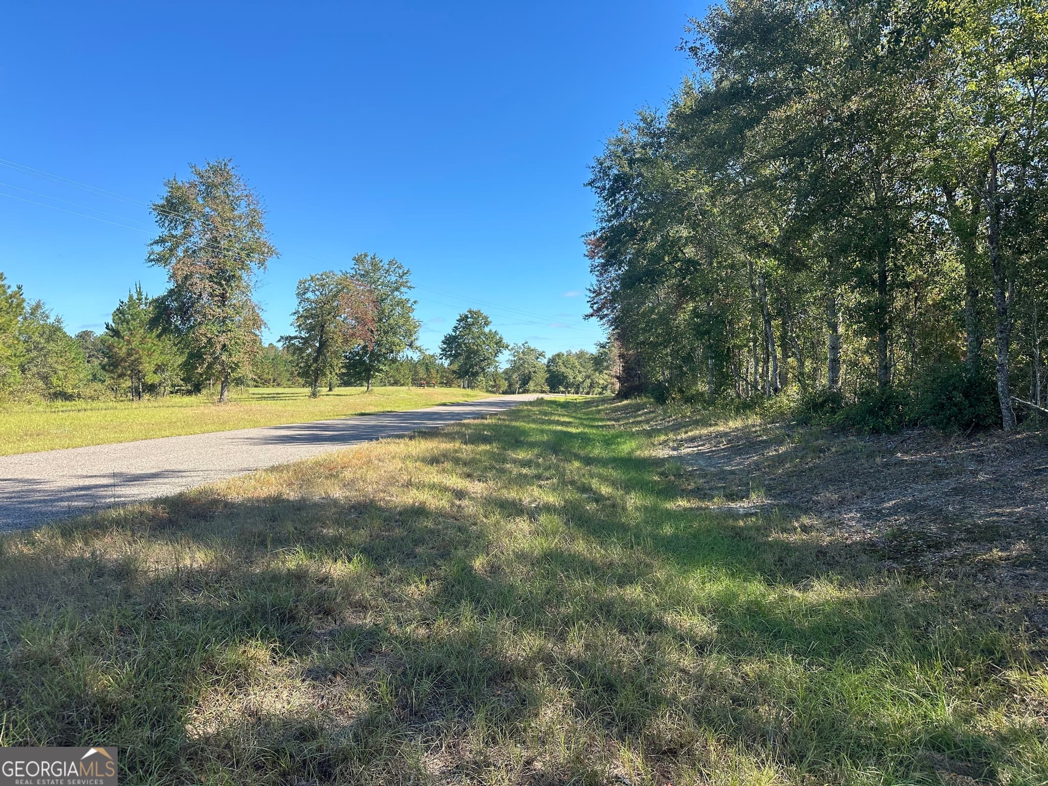 unimproved land for sale at 1001 Millen-Hiltonia Road, Sylvania, GA 30467 — photo 10
