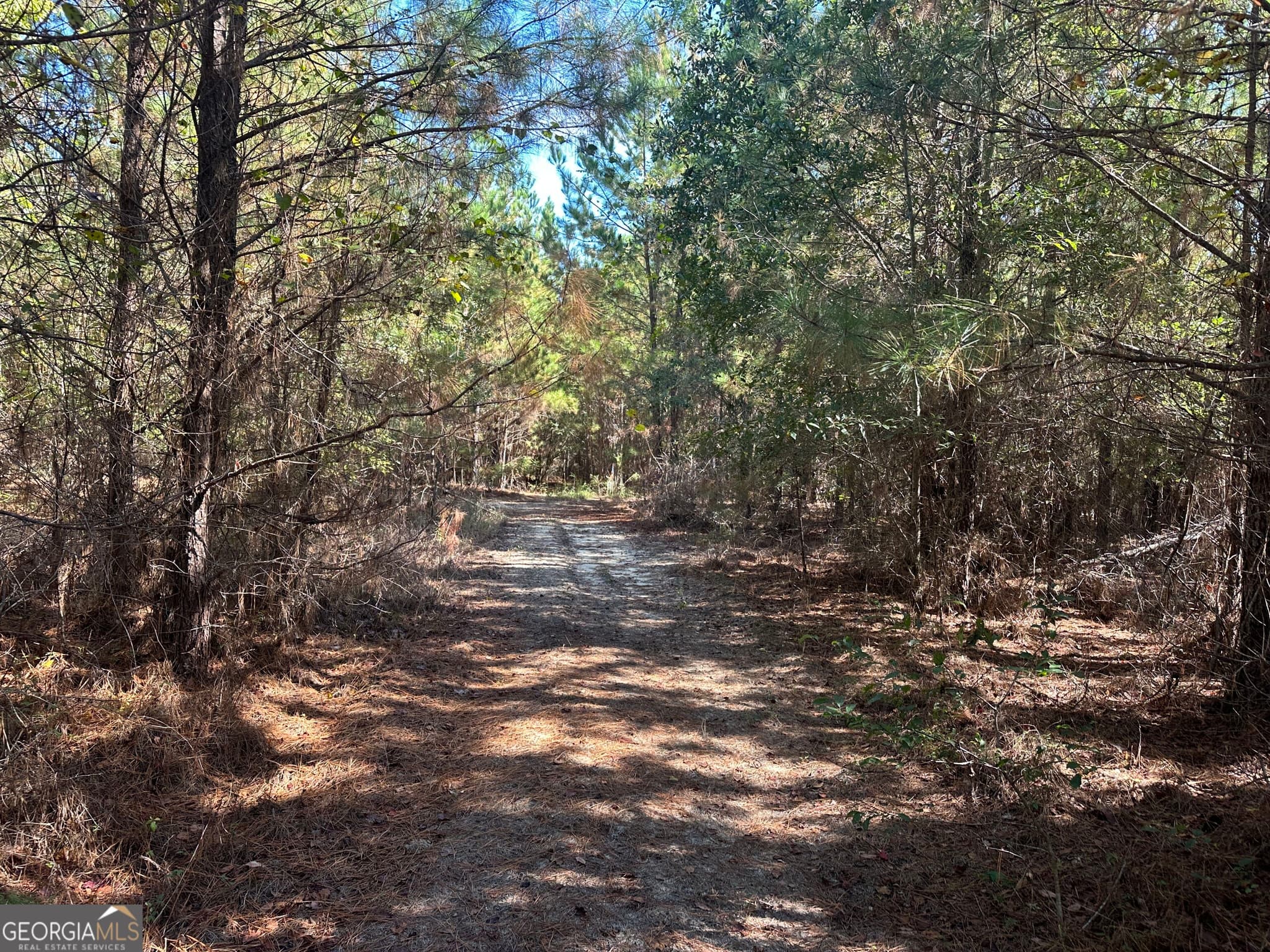 unimproved land for sale at 1001 Millen-Hiltonia Road, Sylvania, GA 30467 — photo 4