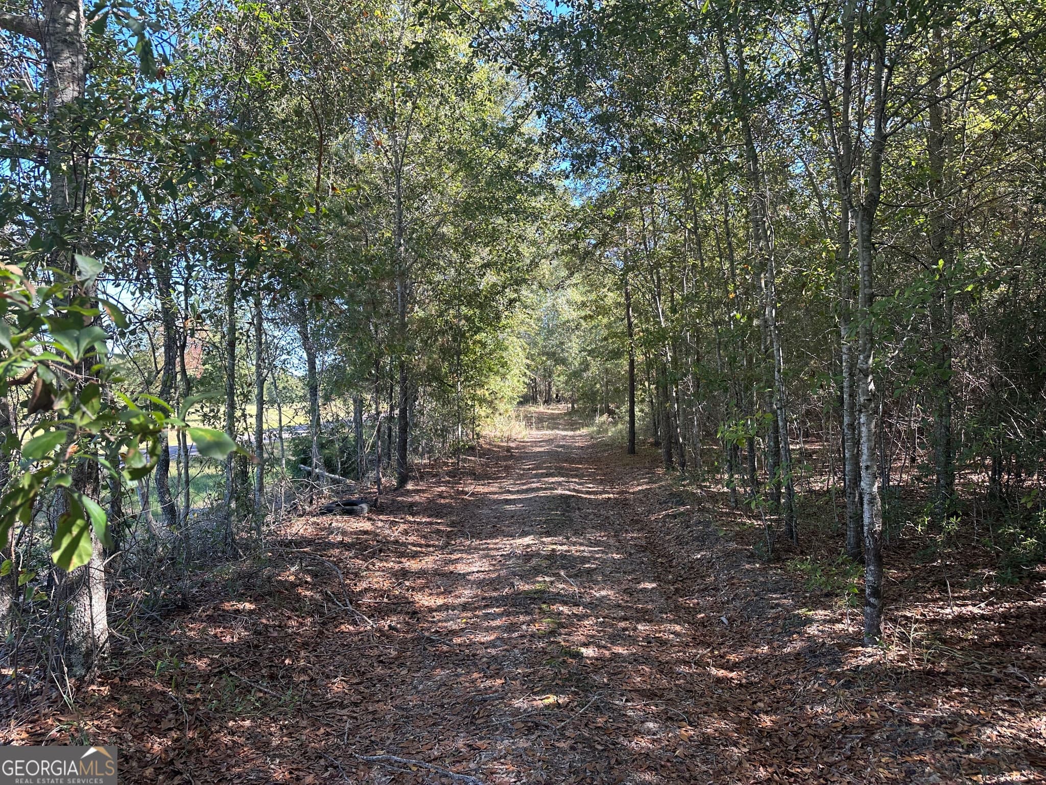unimproved land for sale at 1001 Millen-Hiltonia Road, Sylvania, GA 30467 — photo 8