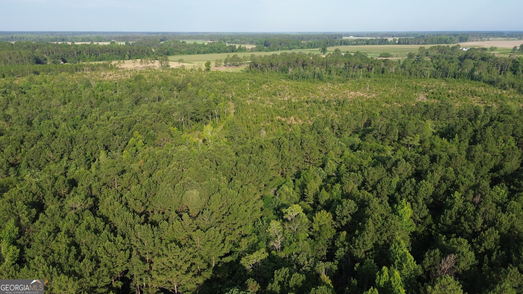 unimproved land for sale at 0 Scuffletown Road, Bristol, GA 31518 — photo 2