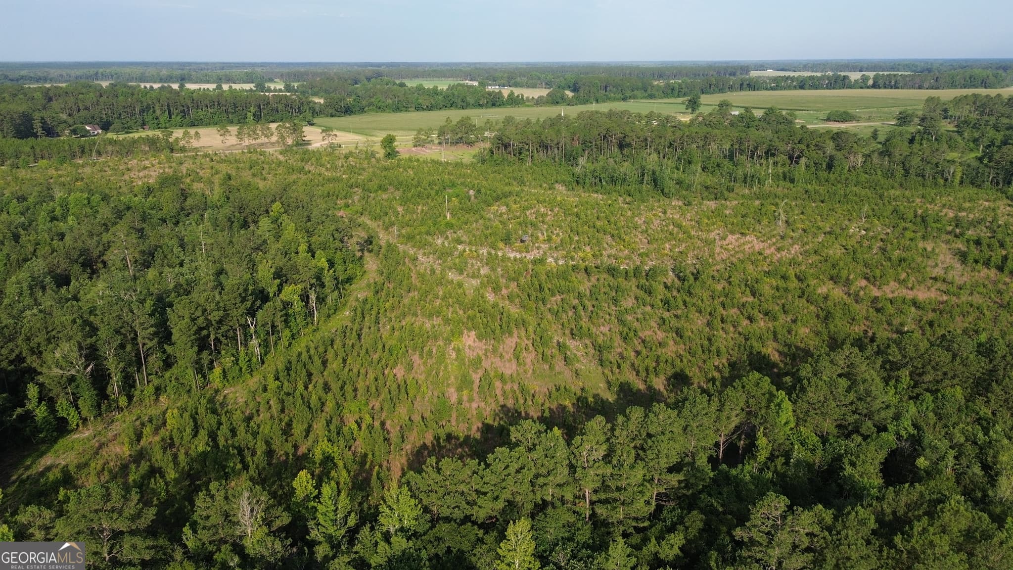 unimproved land for sale at 0 Scuffletown Road, Bristol, GA 31518 — photo 6