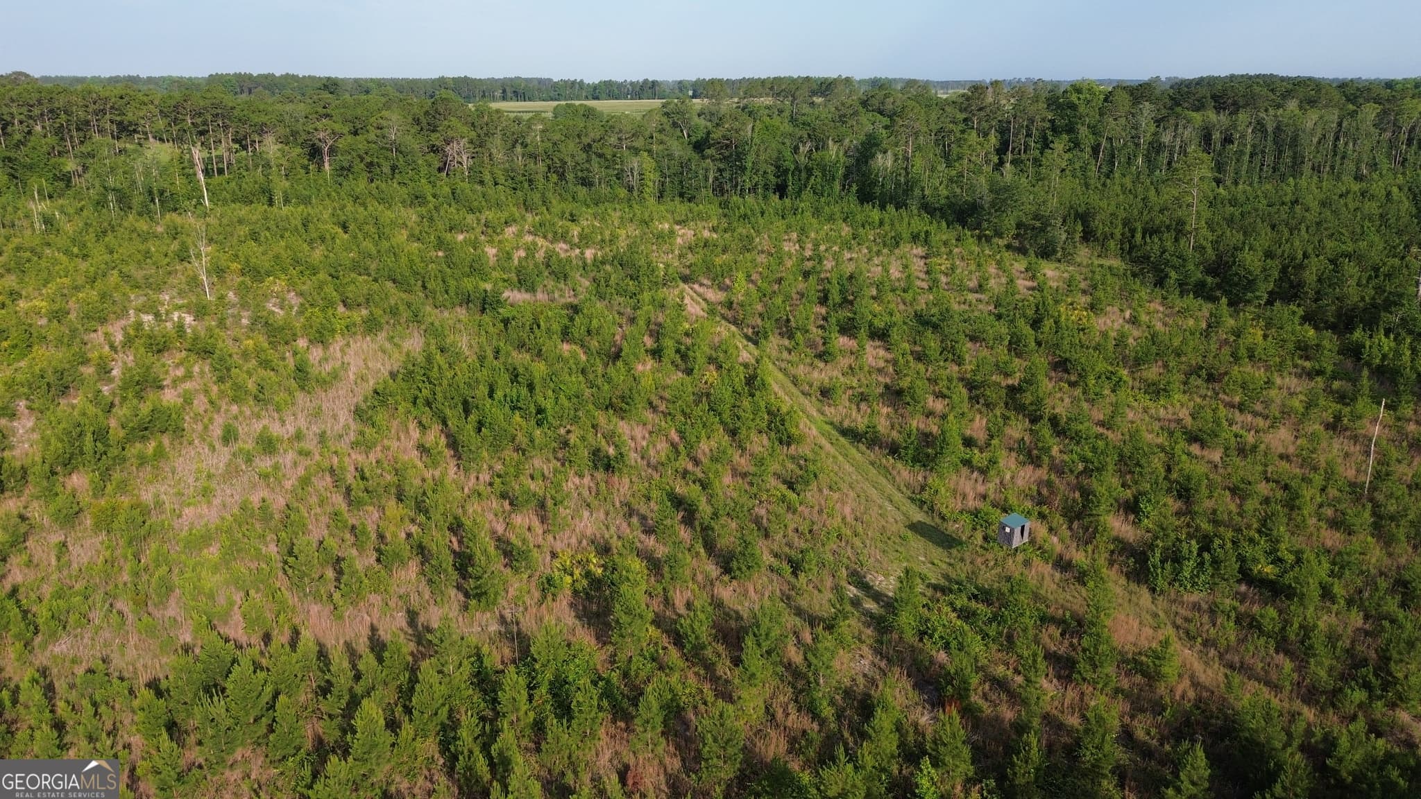 unimproved land for sale at 0 Scuffletown Road, Bristol, GA 31518 — photo 7