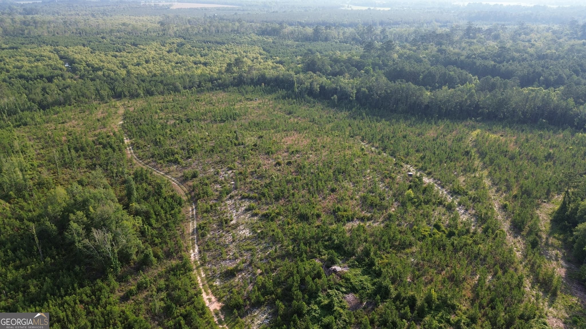 unimproved land for sale at 0 Scuffletown Road, Bristol, GA 31518 — photo 3