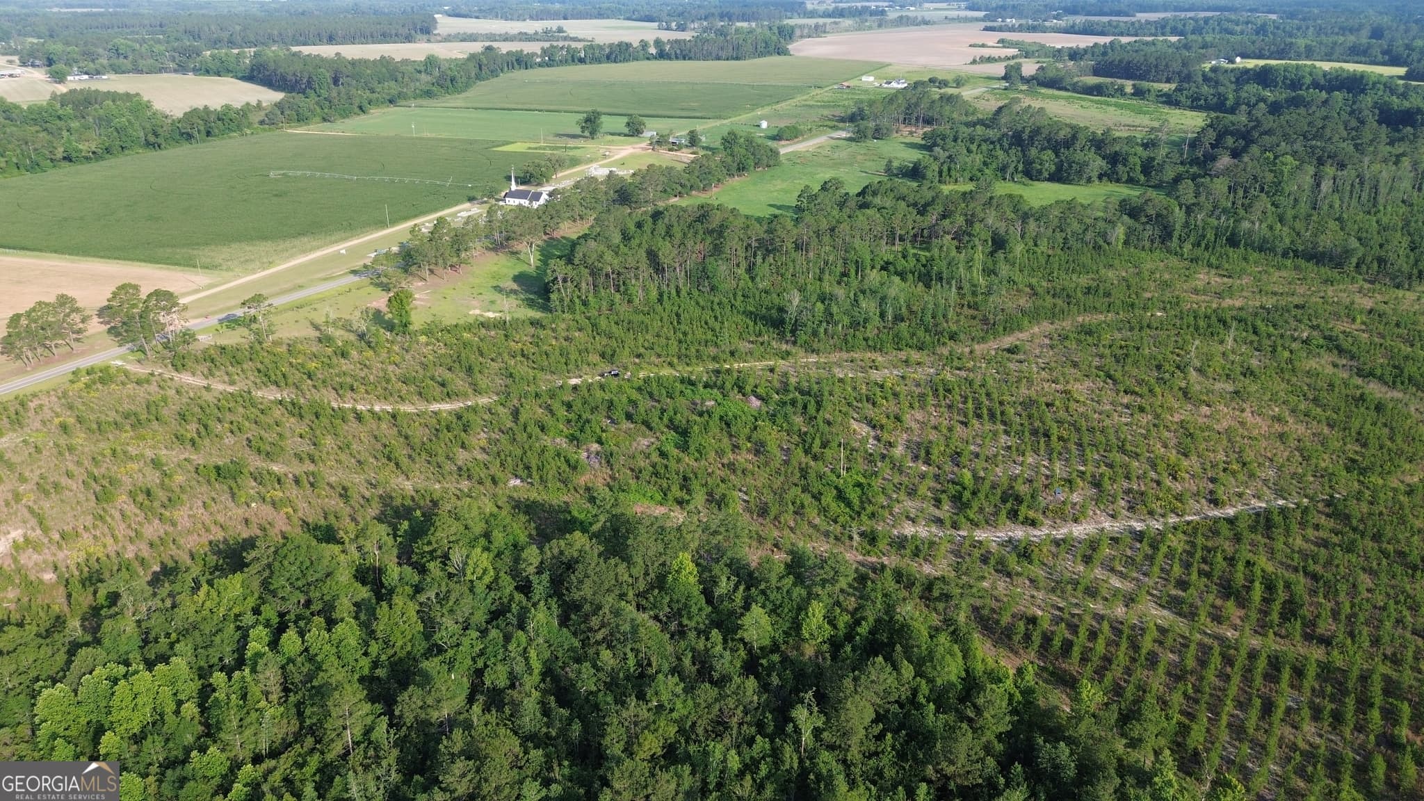 unimproved land for sale at 0 Scuffletown Road, Bristol, GA 31518