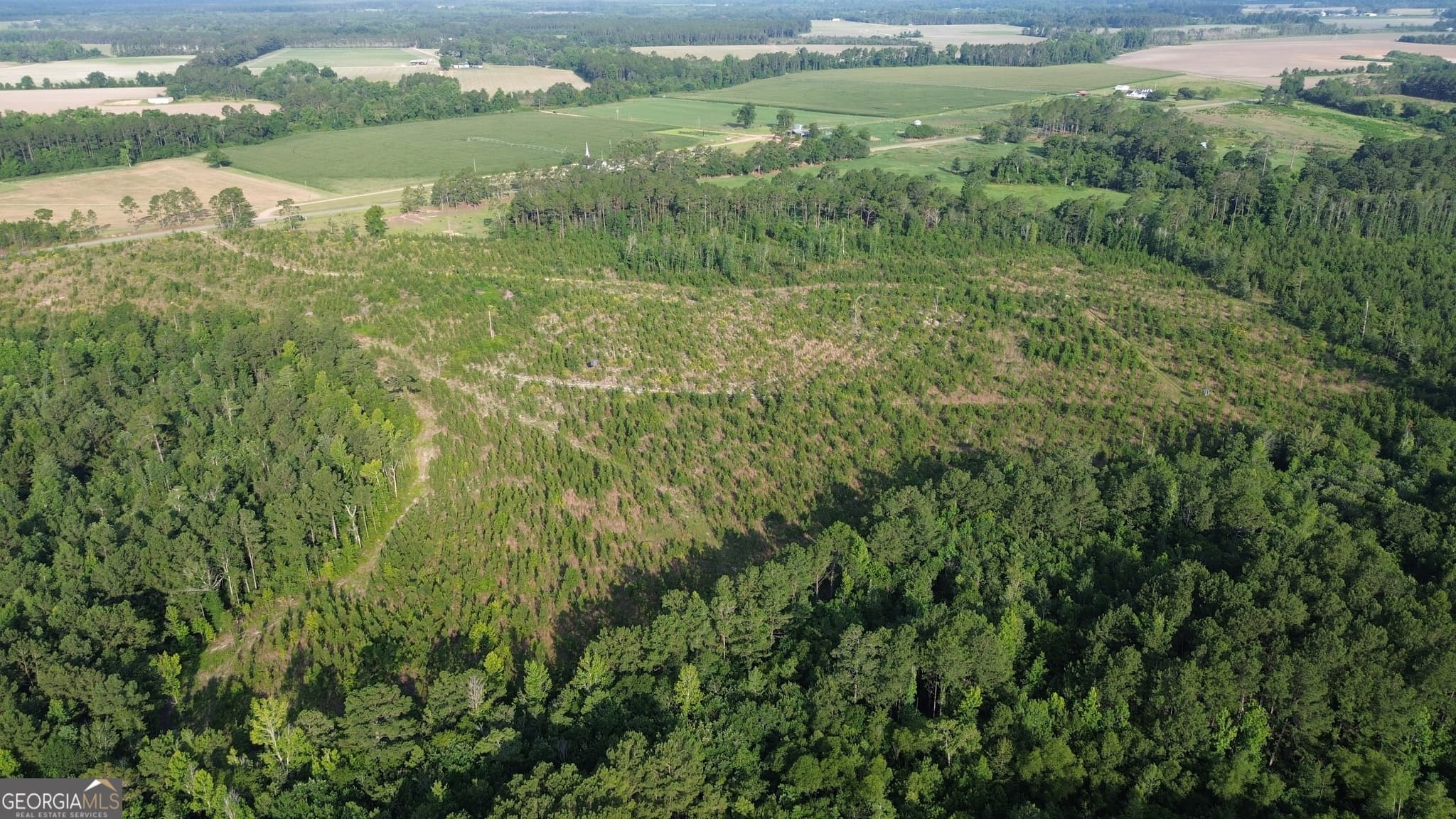 unimproved land for sale at 0 Scuffletown Road, Bristol, GA 31518 — photo 5