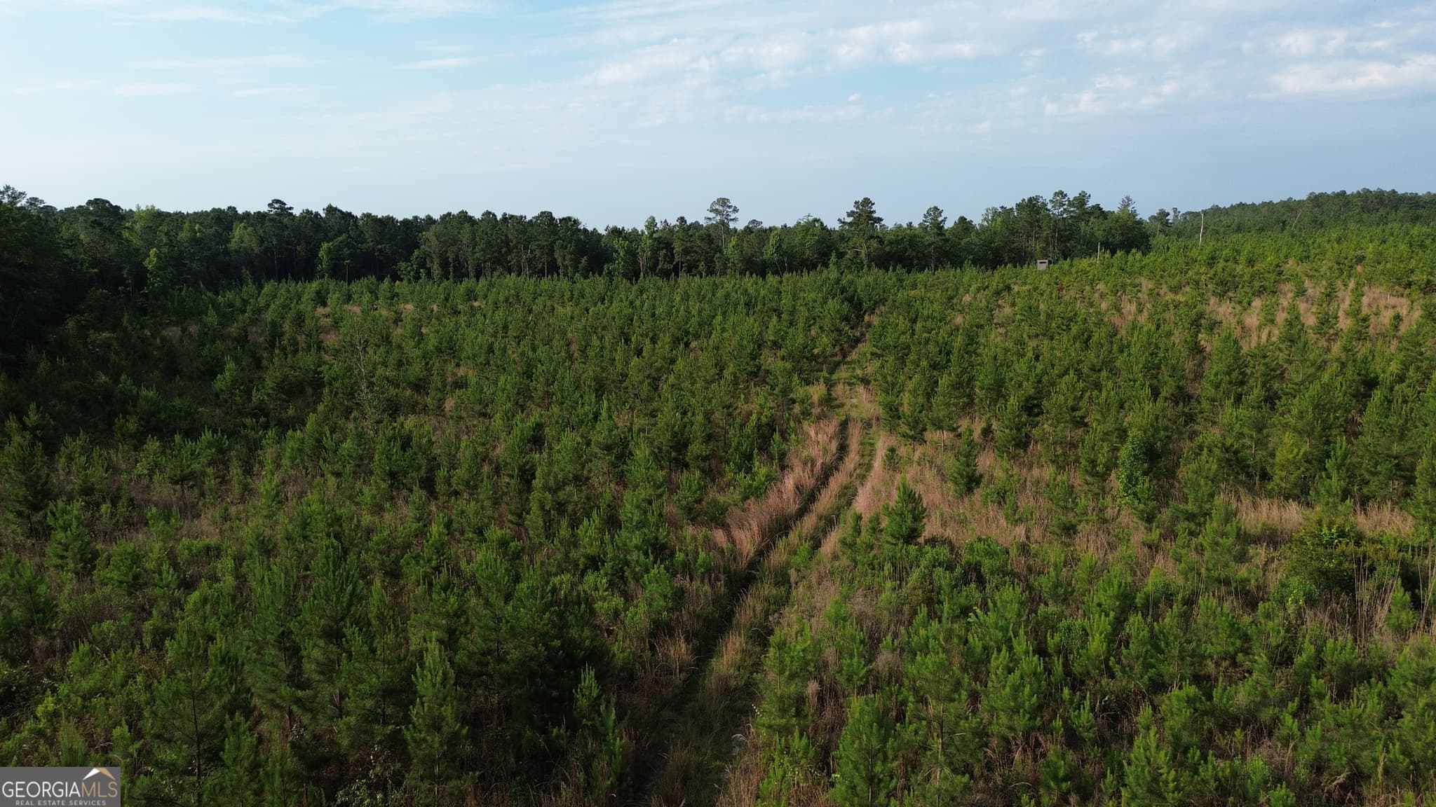 unimproved land for sale at 0 Scuffletown Road, Bristol, GA 31518 — photo 9