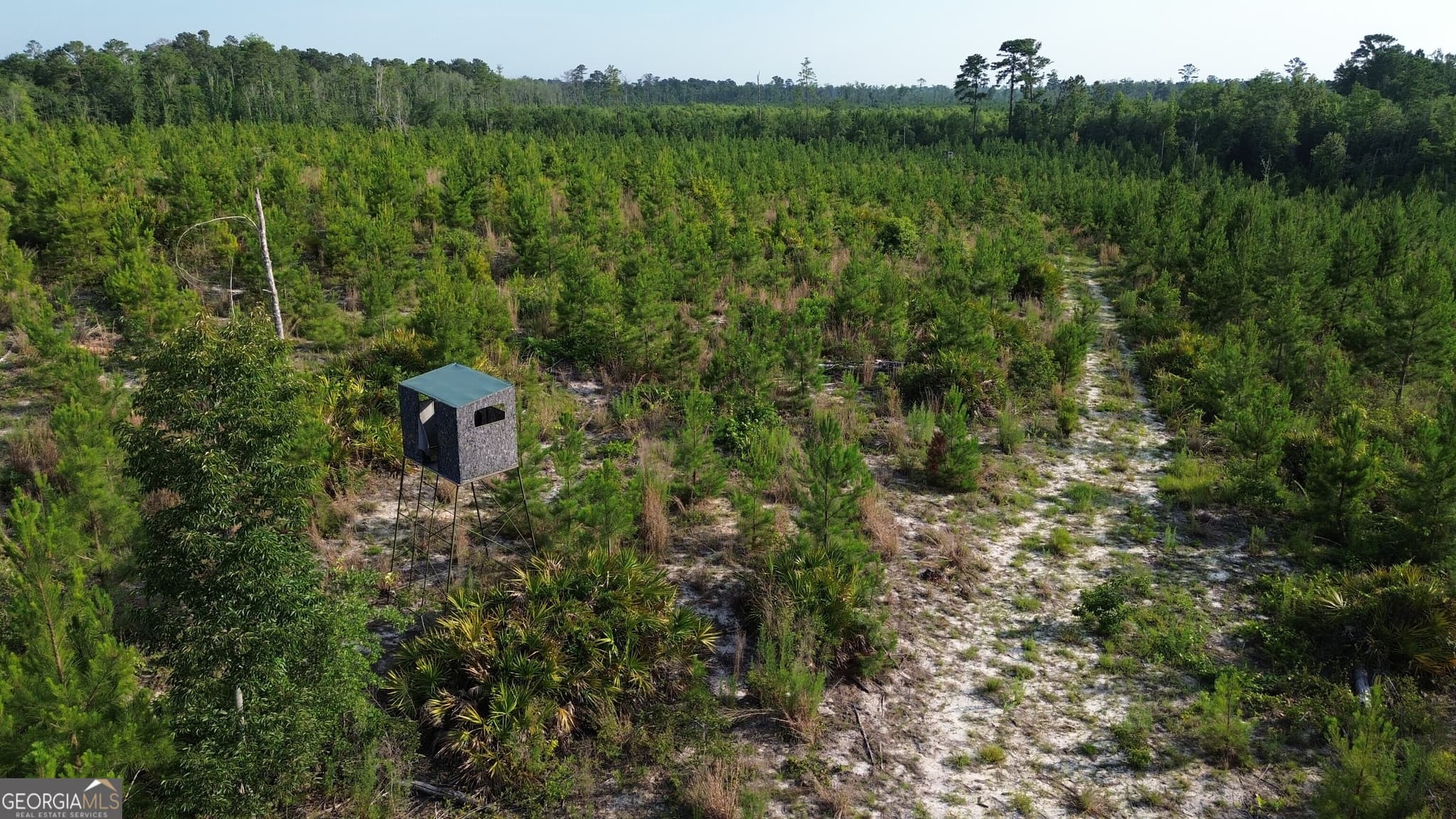 unimproved land for sale at 0 Scuffletown Road, Bristol, GA 31518 — photo 10