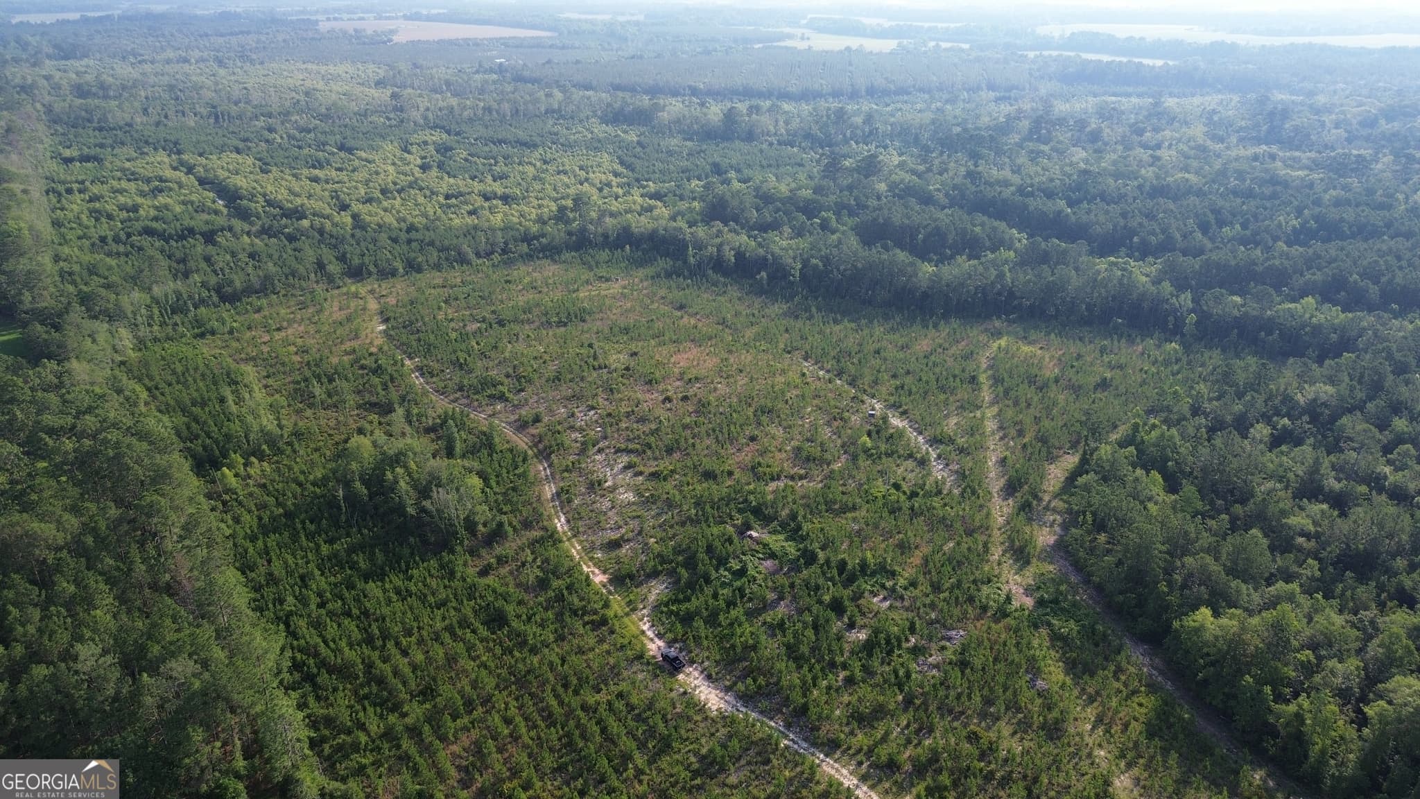 unimproved land for sale at 0 Scuffletown Road, Bristol, GA 31518 — photo 4