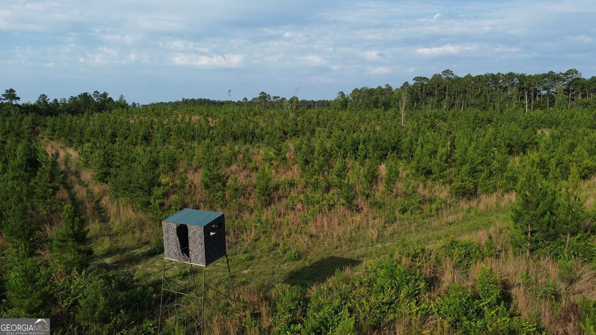 unimproved land for sale at 0 Scuffletown Road, Bristol, GA 31518 — photo 8