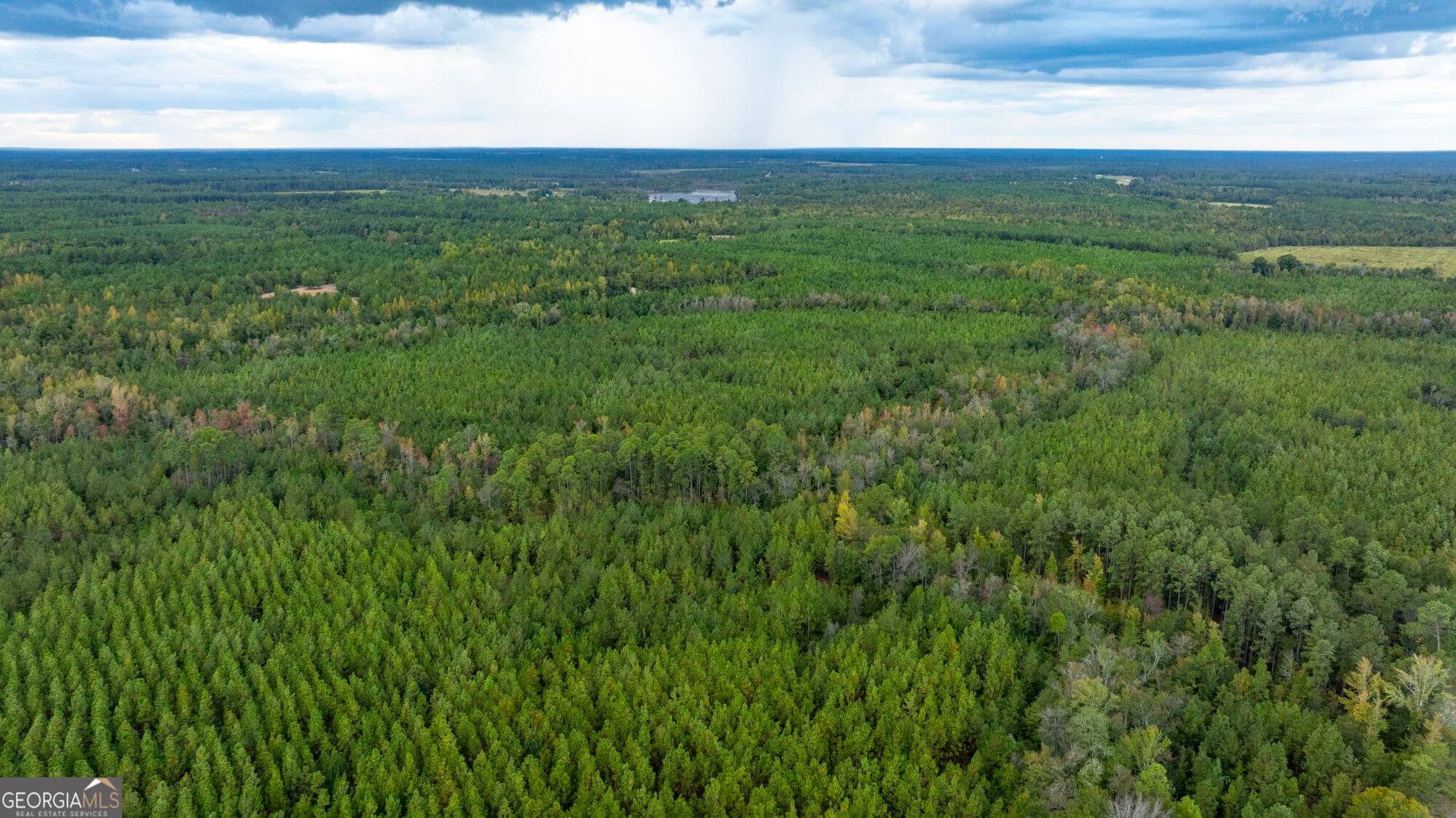 unimproved land for sale at 0 Fortner Pond Road TRACT 2, Kite, GA 31049 — photo 2