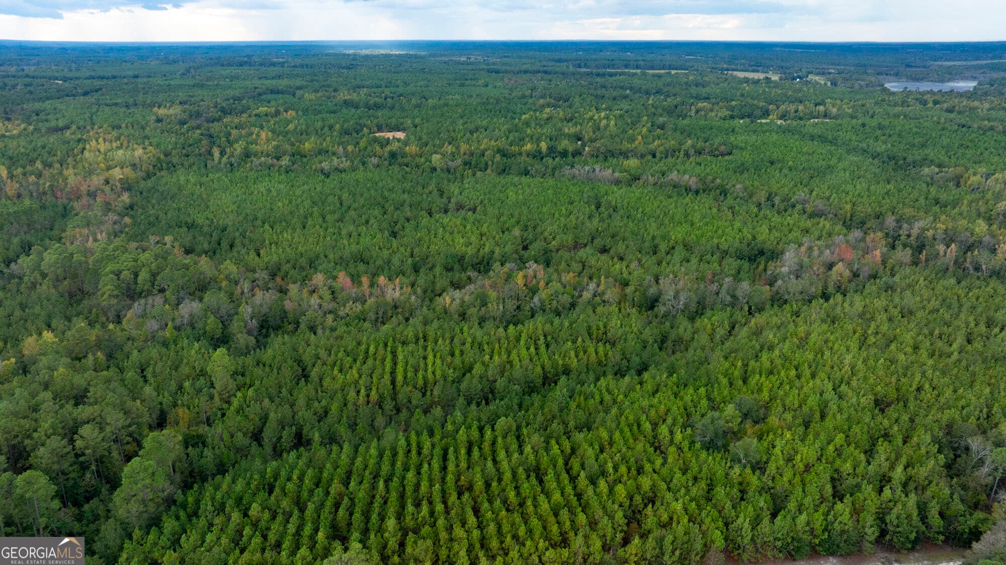 unimproved land for sale at 0 Fortner Pond Road TRACT 2, Kite, GA 31049 — photo 6