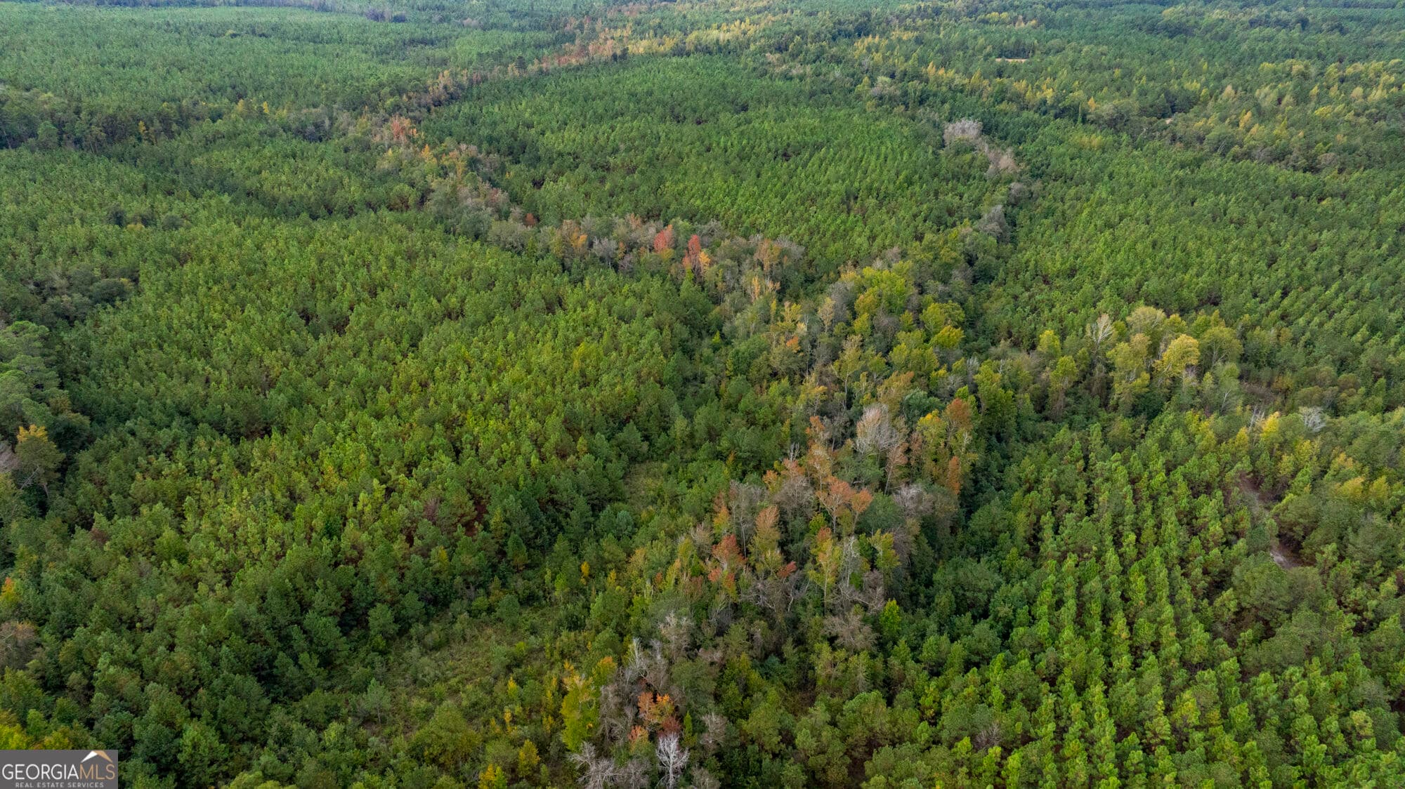 unimproved land for sale at 0 Fortner Pond Road TRACT 2, Kite, GA 31049 — photo 7