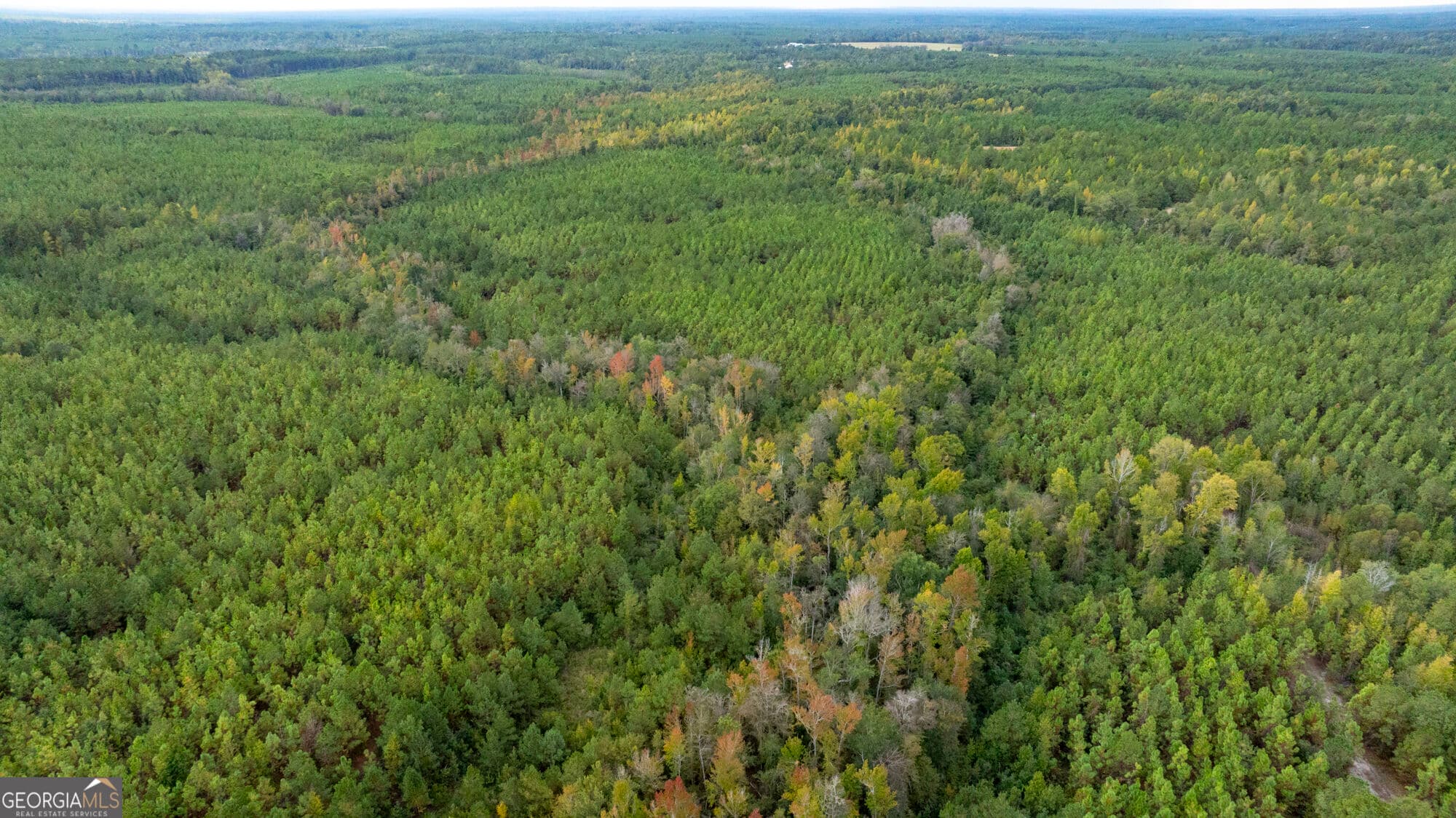 unimproved land for sale at 0 Fortner Pond Road TRACT 2, Kite, GA 31049 — photo 1 of 20
