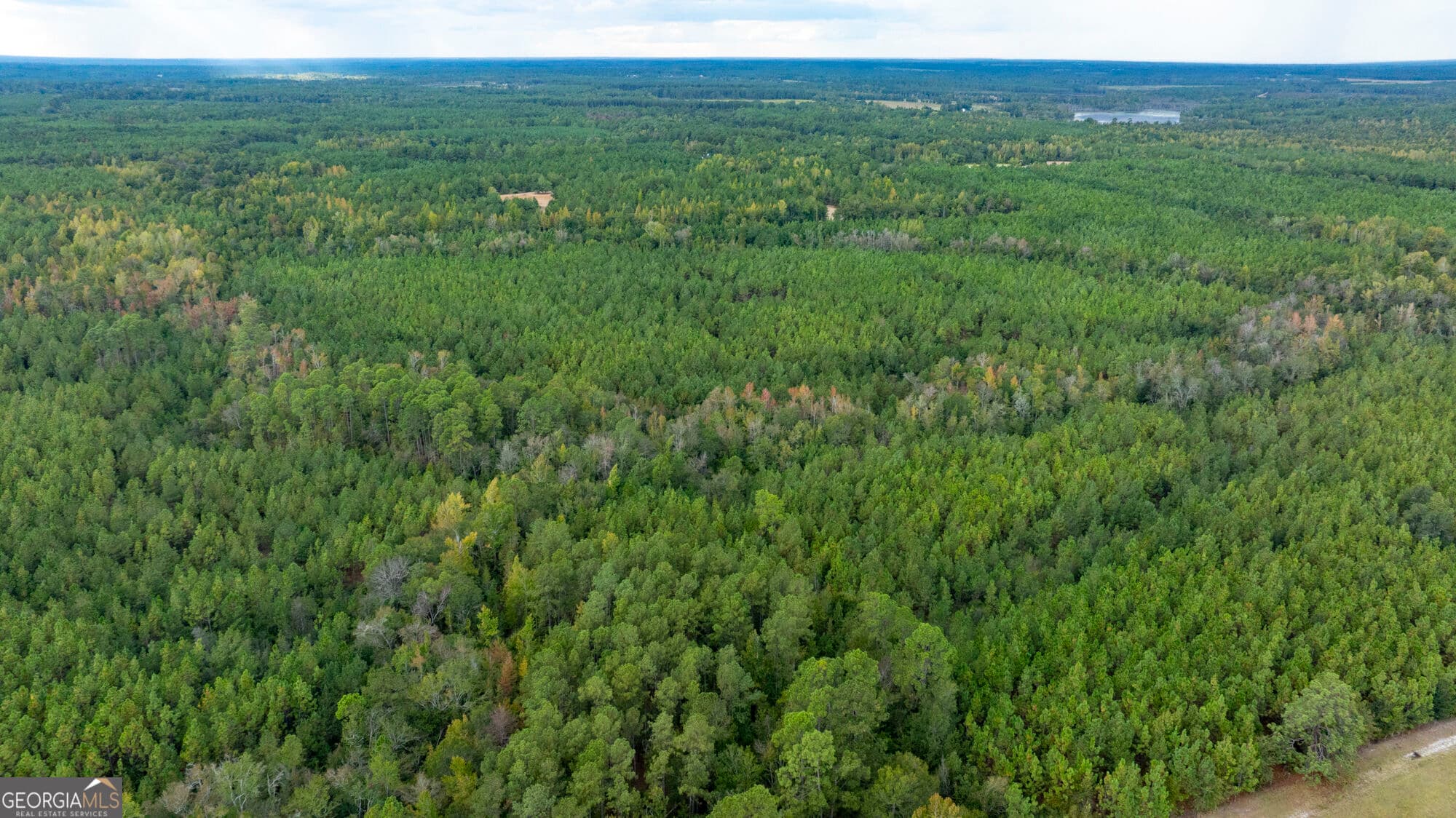 unimproved land for sale at 0 Fortner Pond Road TRACT 2, Kite, GA 31049 — photo 5