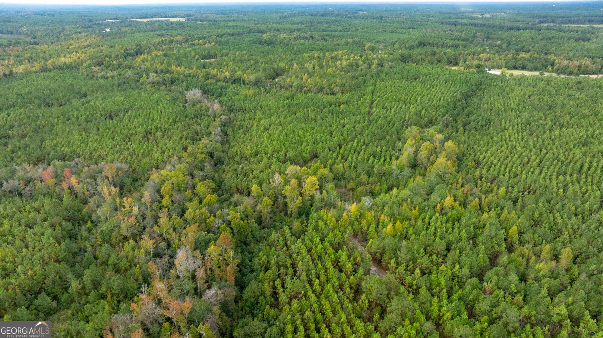 unimproved land for sale at 0 Fortner Pond Road TRACT 2, Kite, GA 31049 — photo 9
