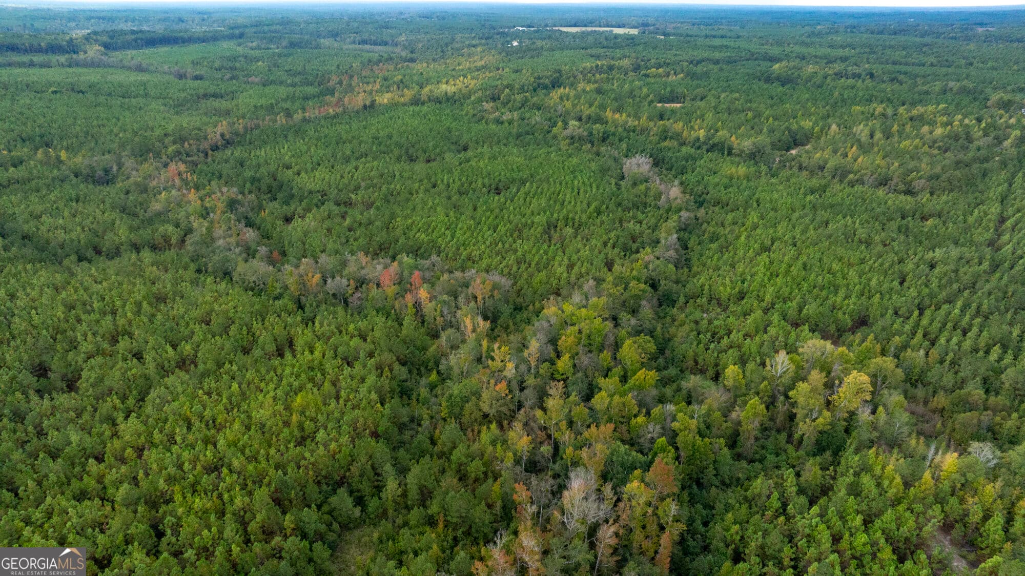 unimproved land for sale at 0 Fortner Pond Road TRACT 2, Kite, GA 31049 — photo 10