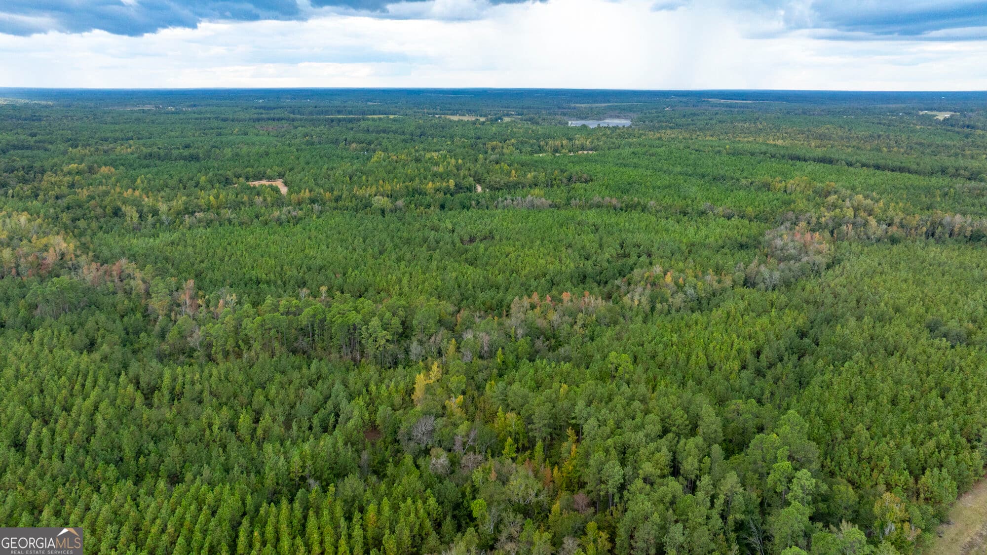 unimproved land for sale at 0 Fortner Pond Road TRACT 2, Kite, GA 31049 — photo 4