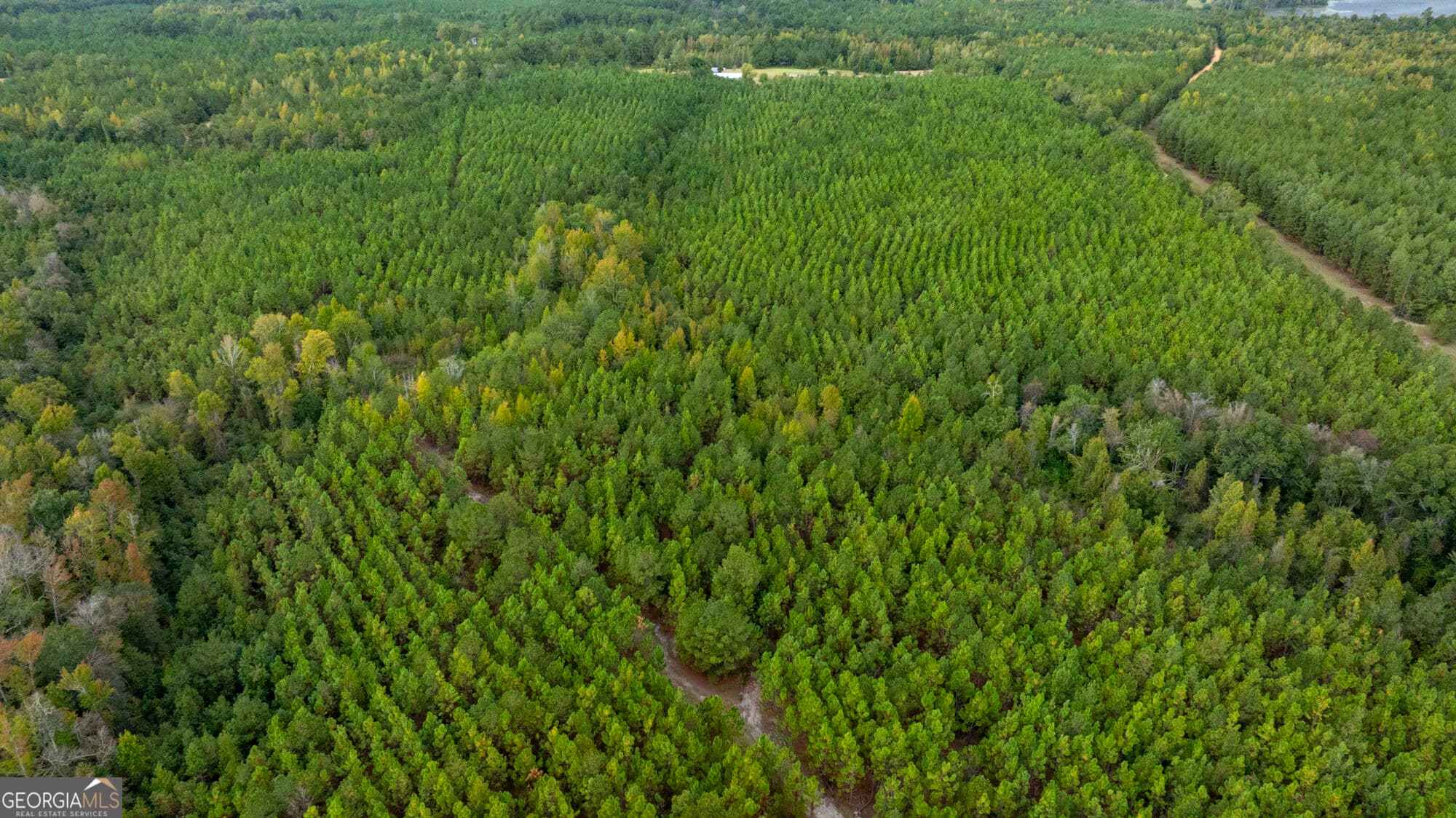 unimproved land for sale at 0 Fortner Pond Road TRACT 2, Kite, GA 31049 — photo 8