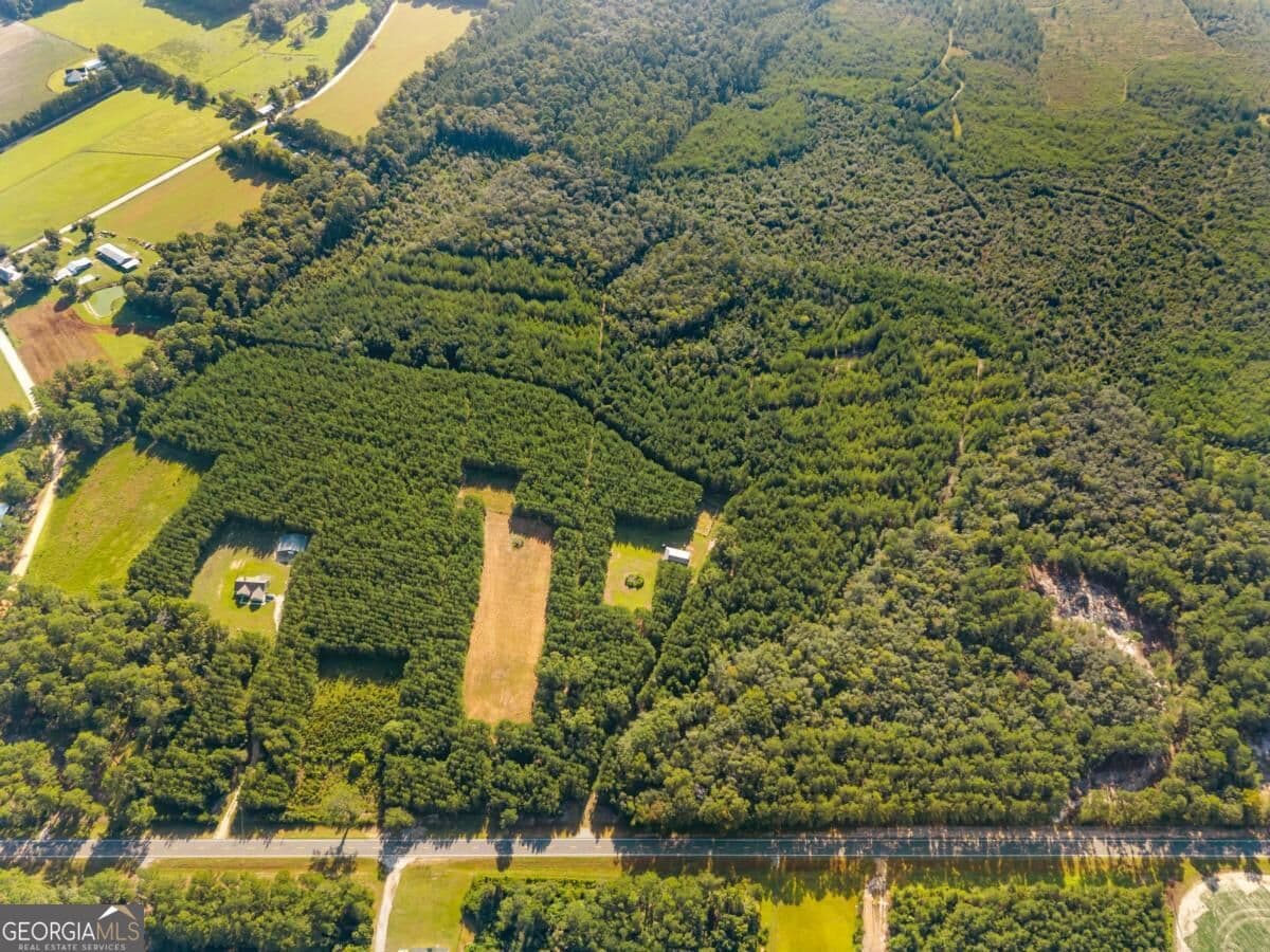 unimproved land for sale at 0 Hwy 67, Pembroke, GA 31321 — photo 2