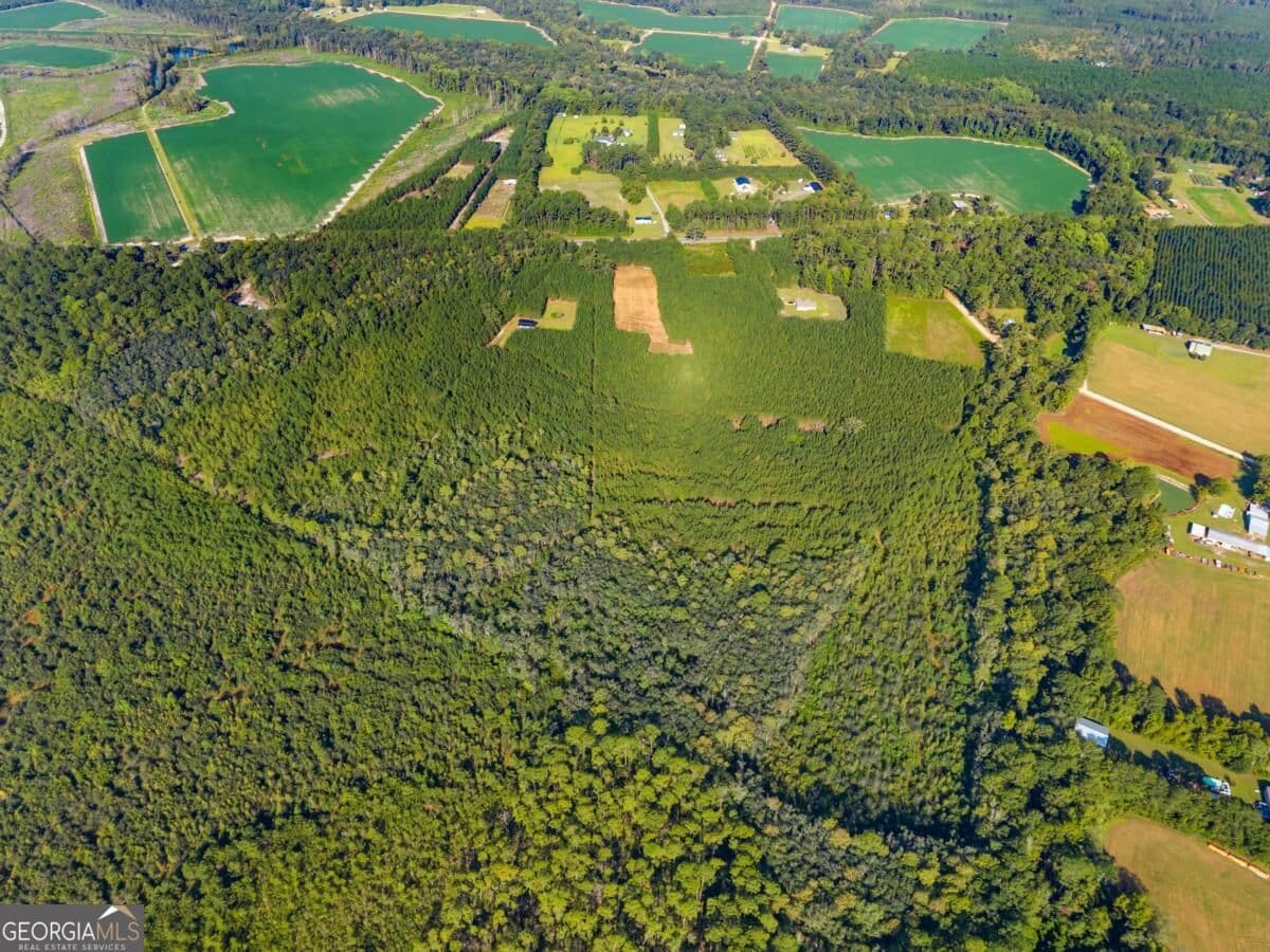 unimproved land for sale at 0 Hwy 67, Pembroke, GA 31321 — photo 7