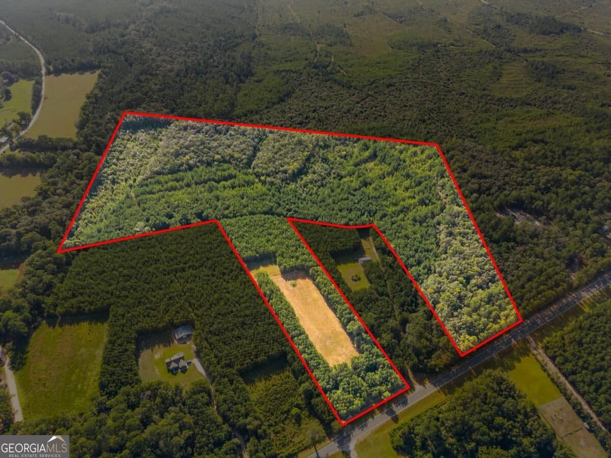 unimproved land for sale at 0 Hwy 67, Pembroke, GA 31321 — photo 3