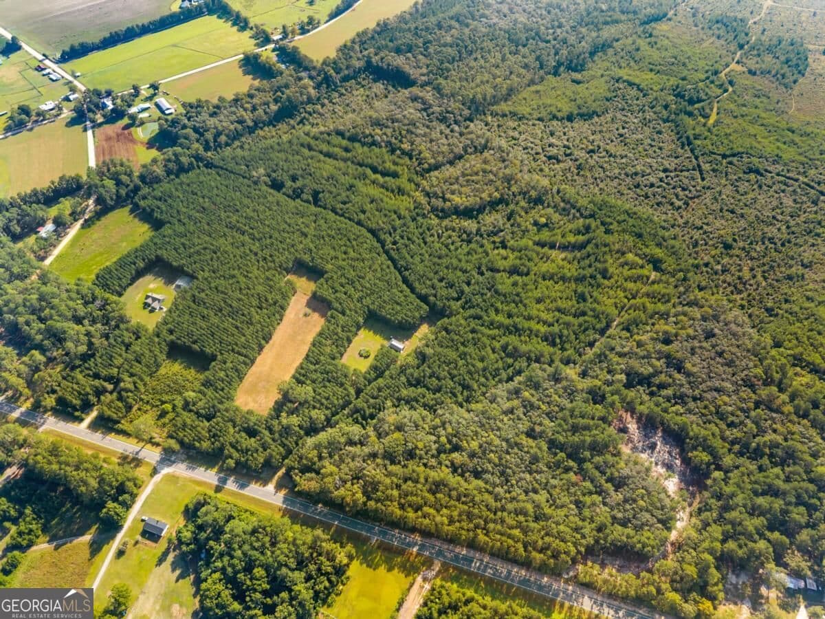 unimproved land for sale at 0 Hwy 67, Pembroke, GA 31321 — photo 5