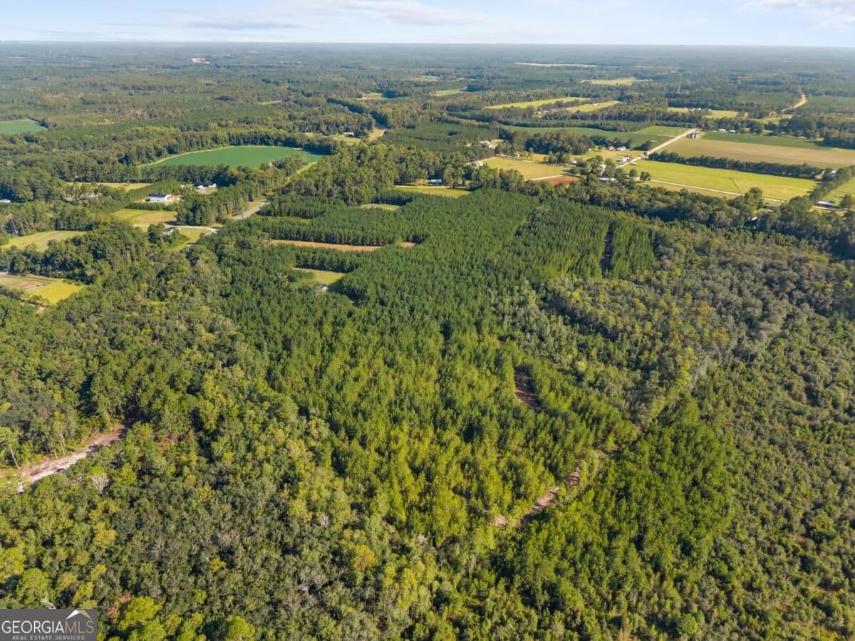 unimproved land for sale at 0 Hwy 67, Pembroke, GA 31321 — photo 9