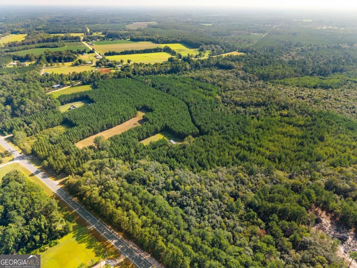 unimproved land for sale at 0 Hwy 67, Pembroke, GA 31321 — photo 10