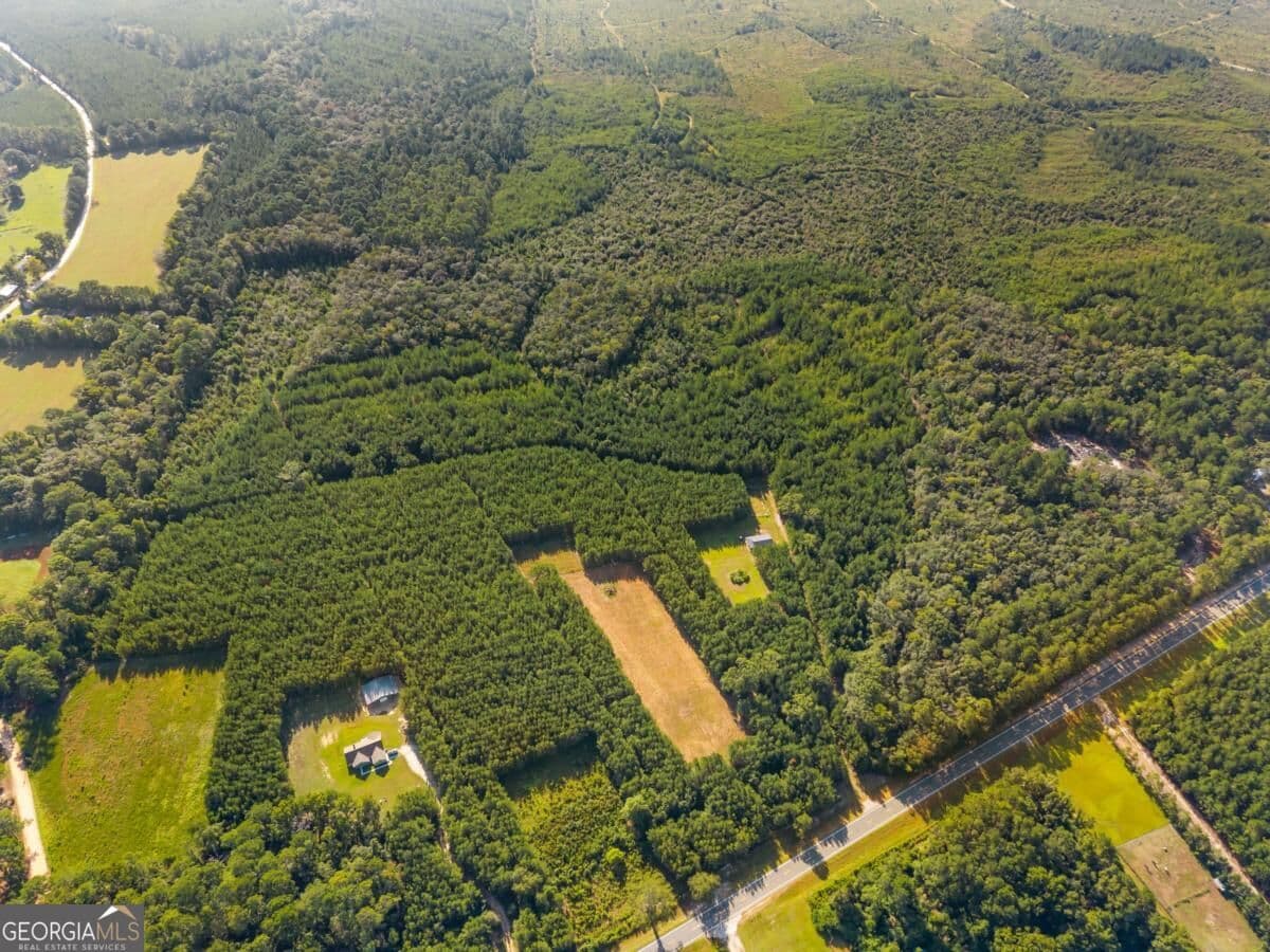 unimproved land for sale at 0 Hwy 67, Pembroke, GA 31321 — photo 4