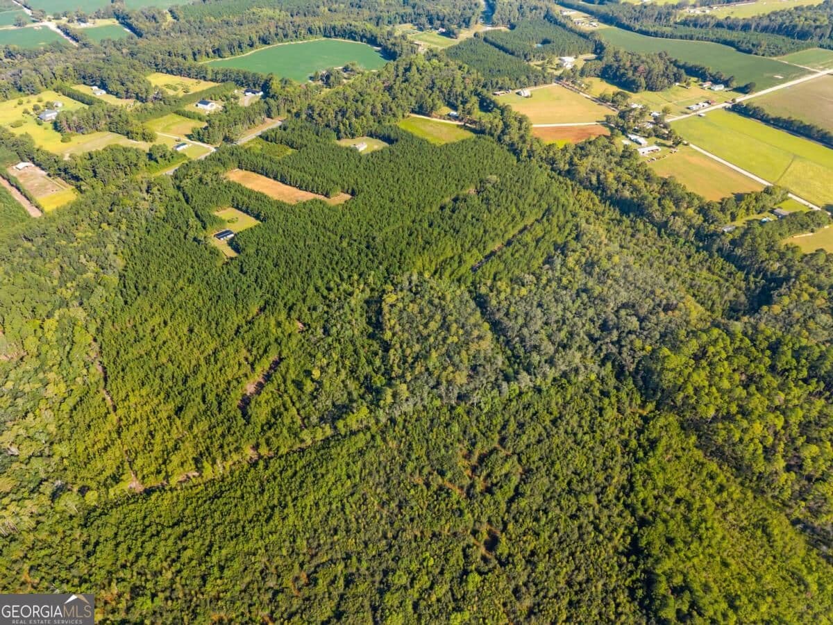 unimproved land for sale at 0 Hwy 67, Pembroke, GA 31321 — photo 8