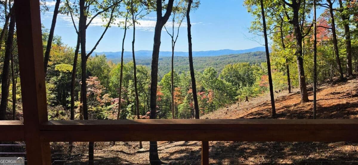 2 bedroom, 2 bathroom, 1,000 sq ft cabin,single family residence for sale at LOT 4 Hickory Hollow, Mineral Bluff, GA 30559 — photo 5
