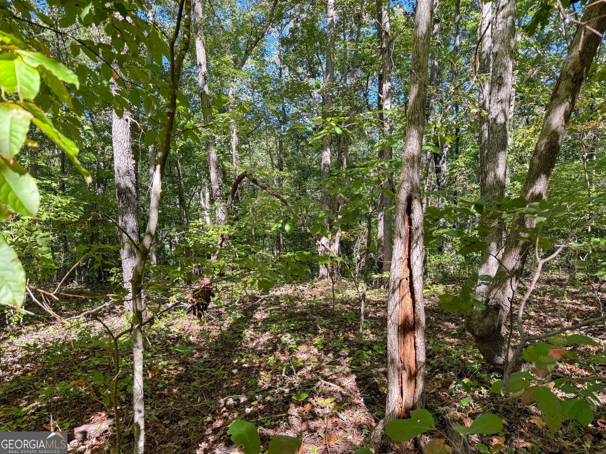 residential lot for sale at 0 (Barrington Subd) 16 Approved LOTS READY TO BUILD, Covington, GA 30016 — photo 10