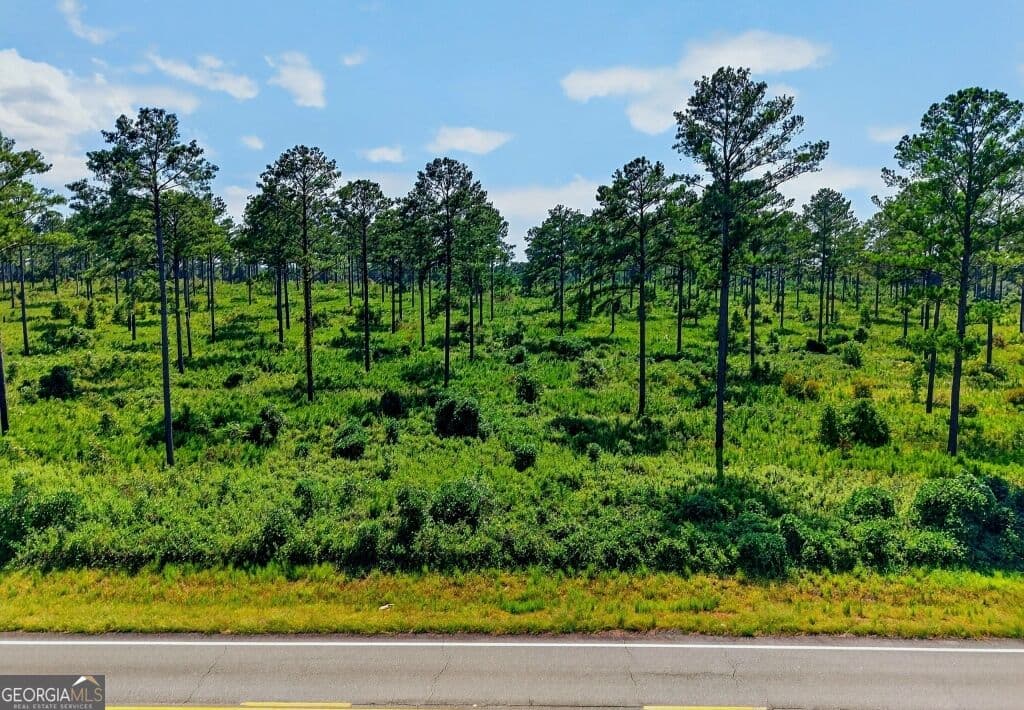 unimproved land for sale at 0 Hwy 30 TRACT A, Buena Vista, GA 31803 — photo 2
