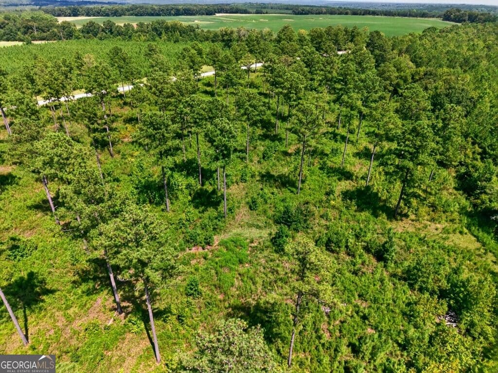 unimproved land for sale at 0 Hwy 30 TRACT A, Buena Vista, GA 31803 — photo 6
