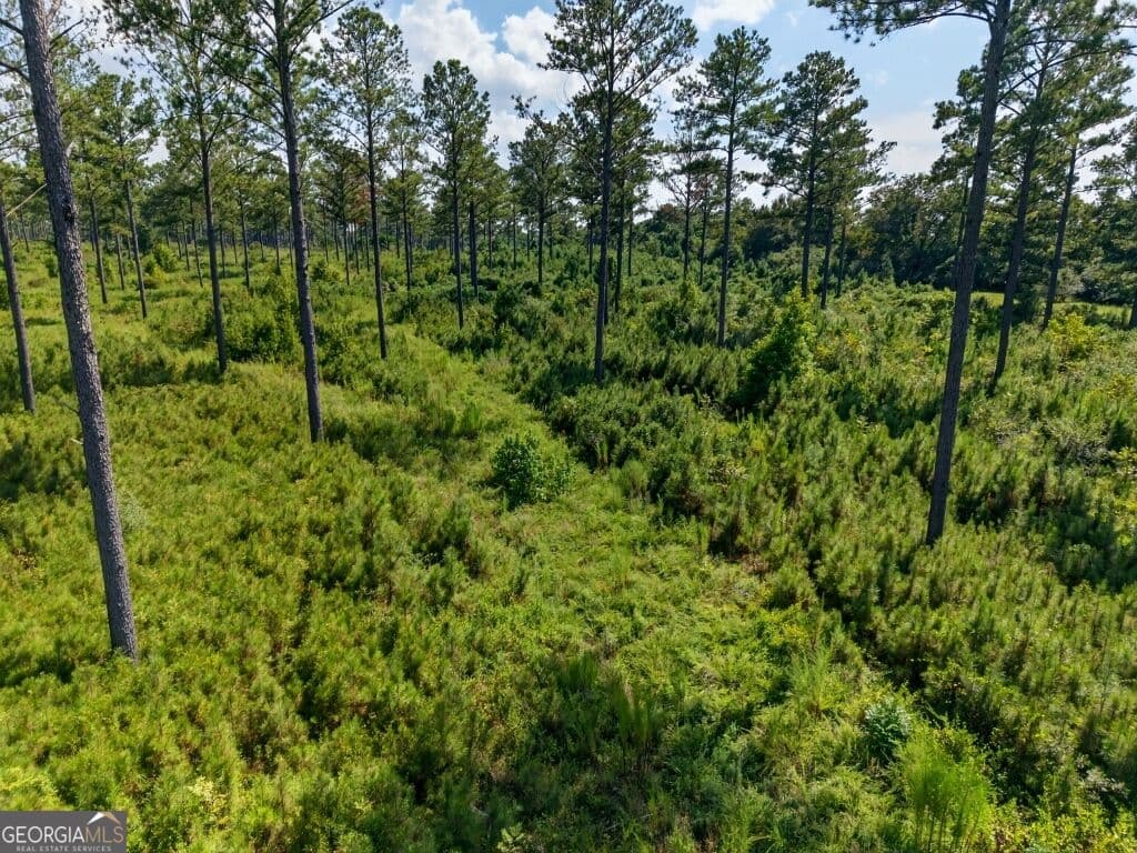 unimproved land for sale at 0 Hwy 30 TRACT A, Buena Vista, GA 31803 — photo 7