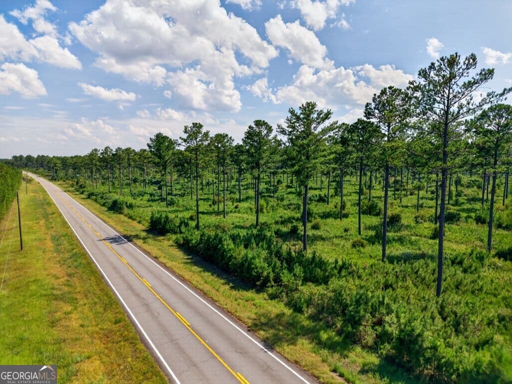 unimproved land for sale at 0 Hwy 30 TRACT A, Buena Vista, GA 31803 — photo 3