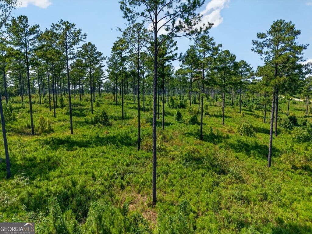 unimproved land for sale at 0 Hwy 30 TRACT A, Buena Vista, GA 31803