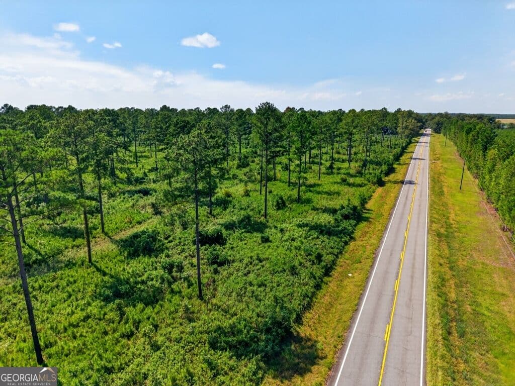 unimproved land for sale at 0 Hwy 30 TRACT A, Buena Vista, GA 31803 — photo 5