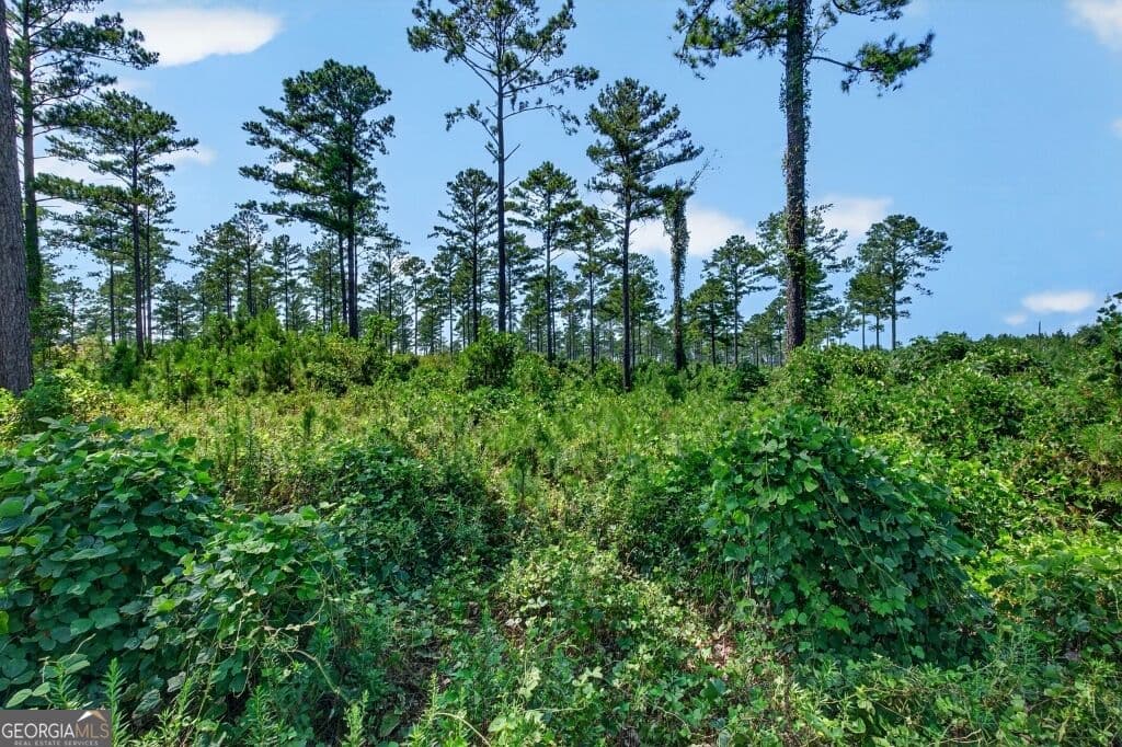 unimproved land for sale at 0 Hwy 30 TRACT A, Buena Vista, GA 31803 — photo 9