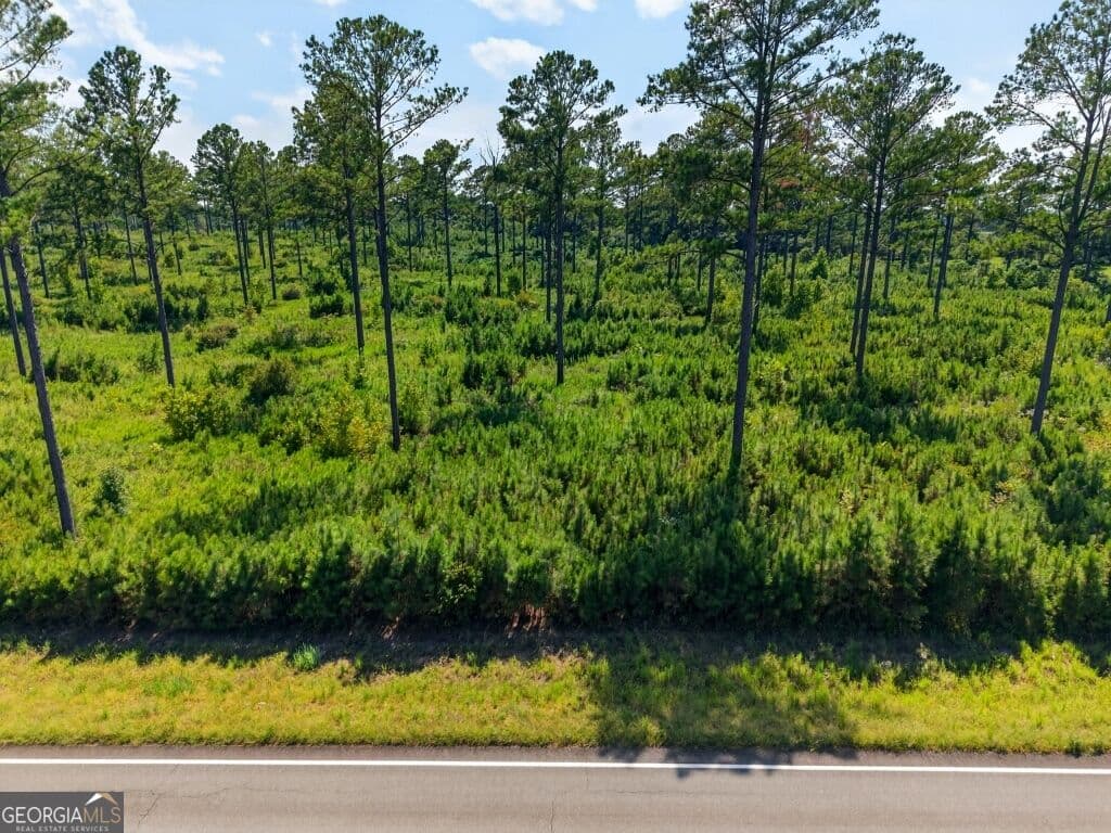 unimproved land for sale at 0 Hwy 30 TRACT A, Buena Vista, GA 31803 — photo 4