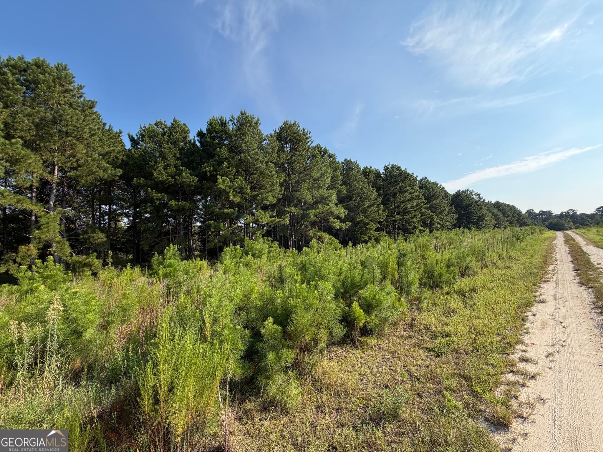 unimproved land for sale at 0 Highway 296, Stapleton, GA 30823 — photo 6